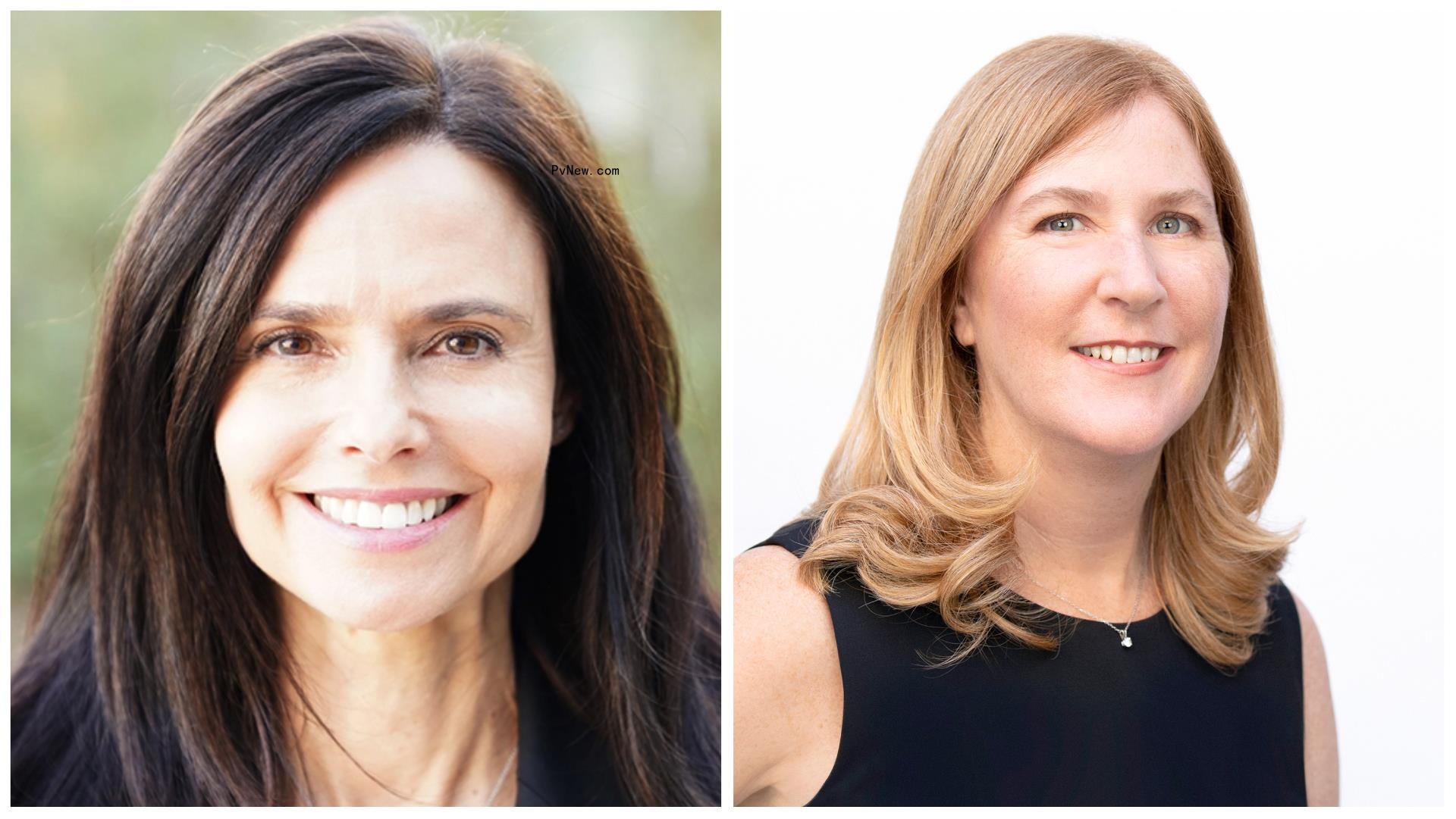 Fox Entertainment’s Head of Comedy Julia Franz Steps Down, Cheryl Dolins Joins in Her Place