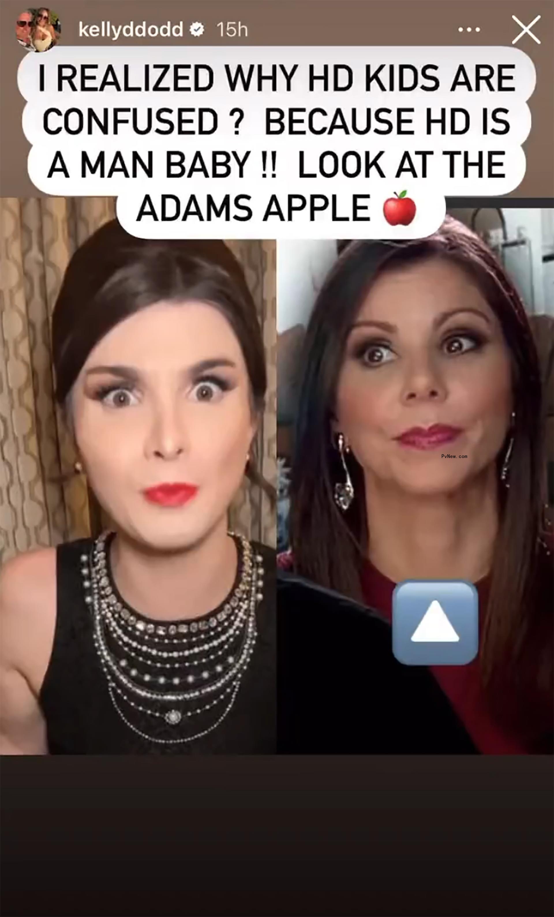 Kelly Dodd's post of Dylan Mulvaney and Heather Dubrow