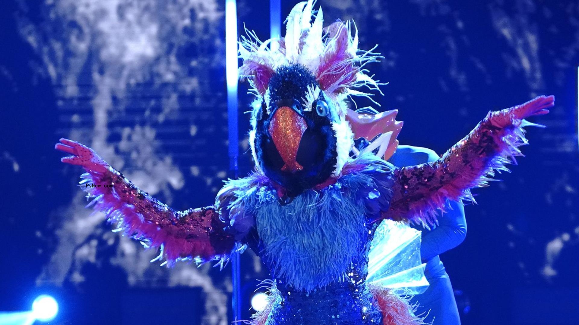 ‘The Masked Dancer’ Reveals Identity of the Cricket: Here’s the Celebrity Under the Mask