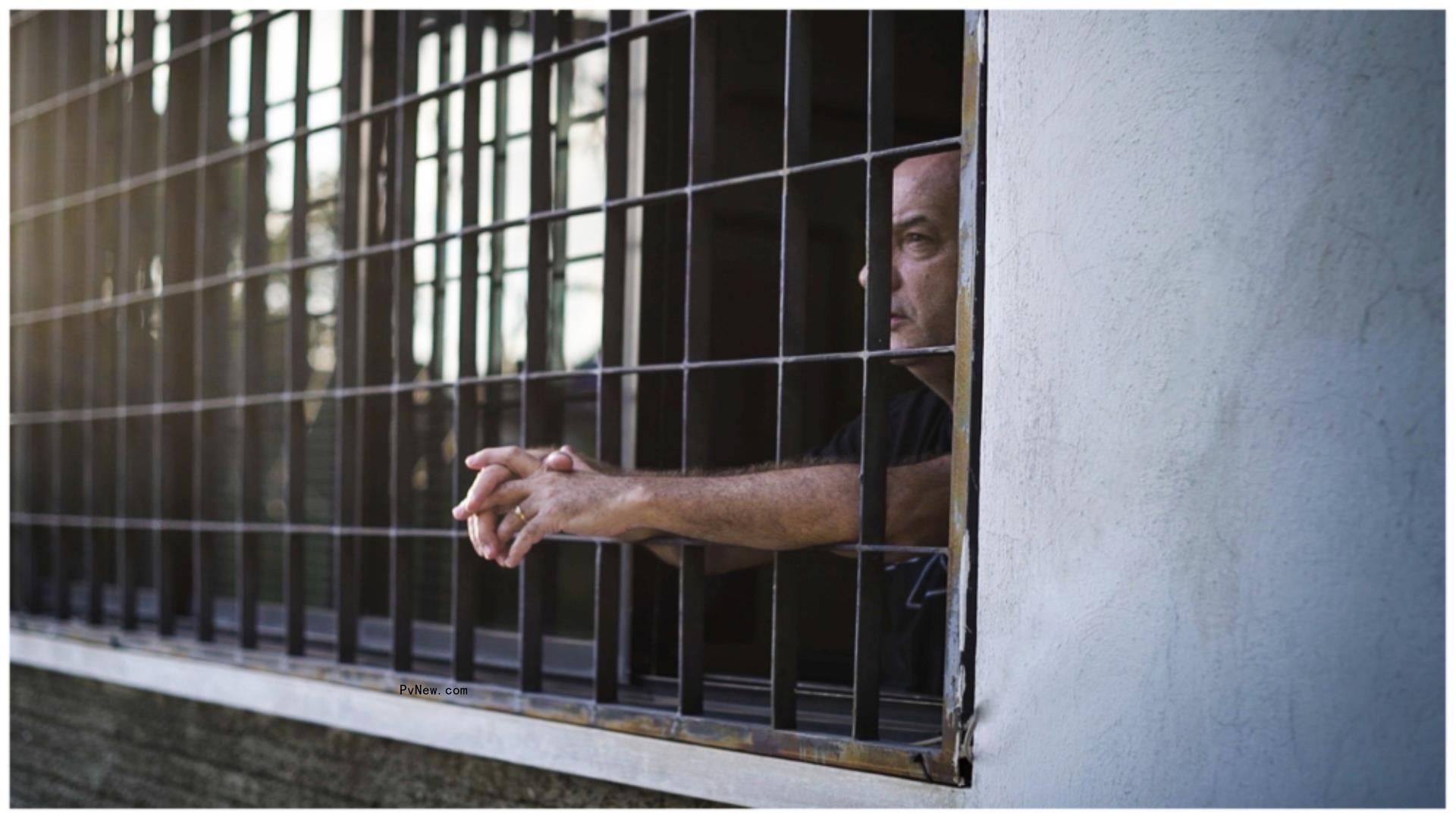 Deckert Boards ‘Pure Unknown,’ ‘My Father’s Prison’ Ahead of Premieres at Visions du Reel