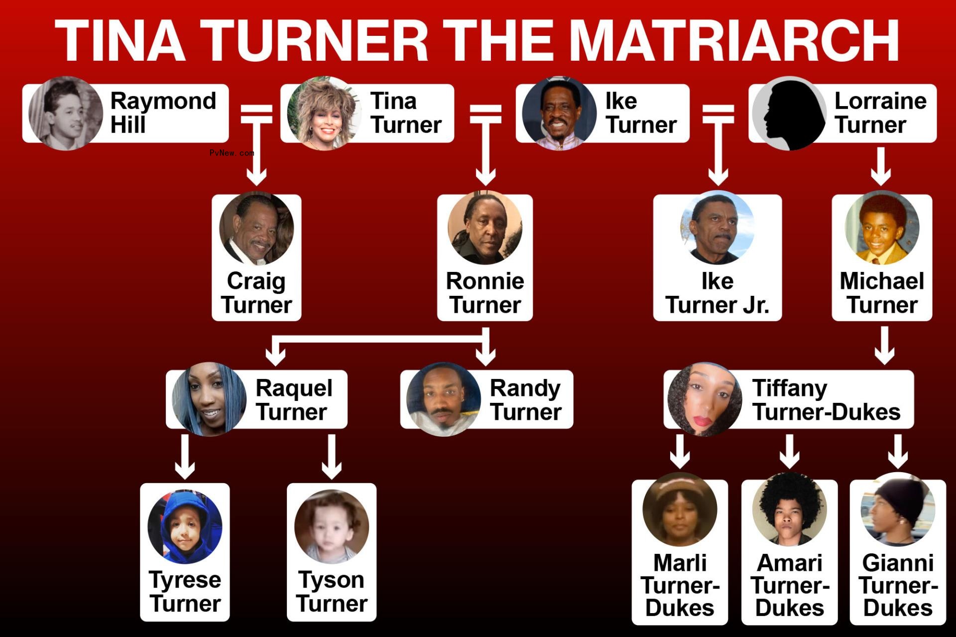 Tina Turner family tree