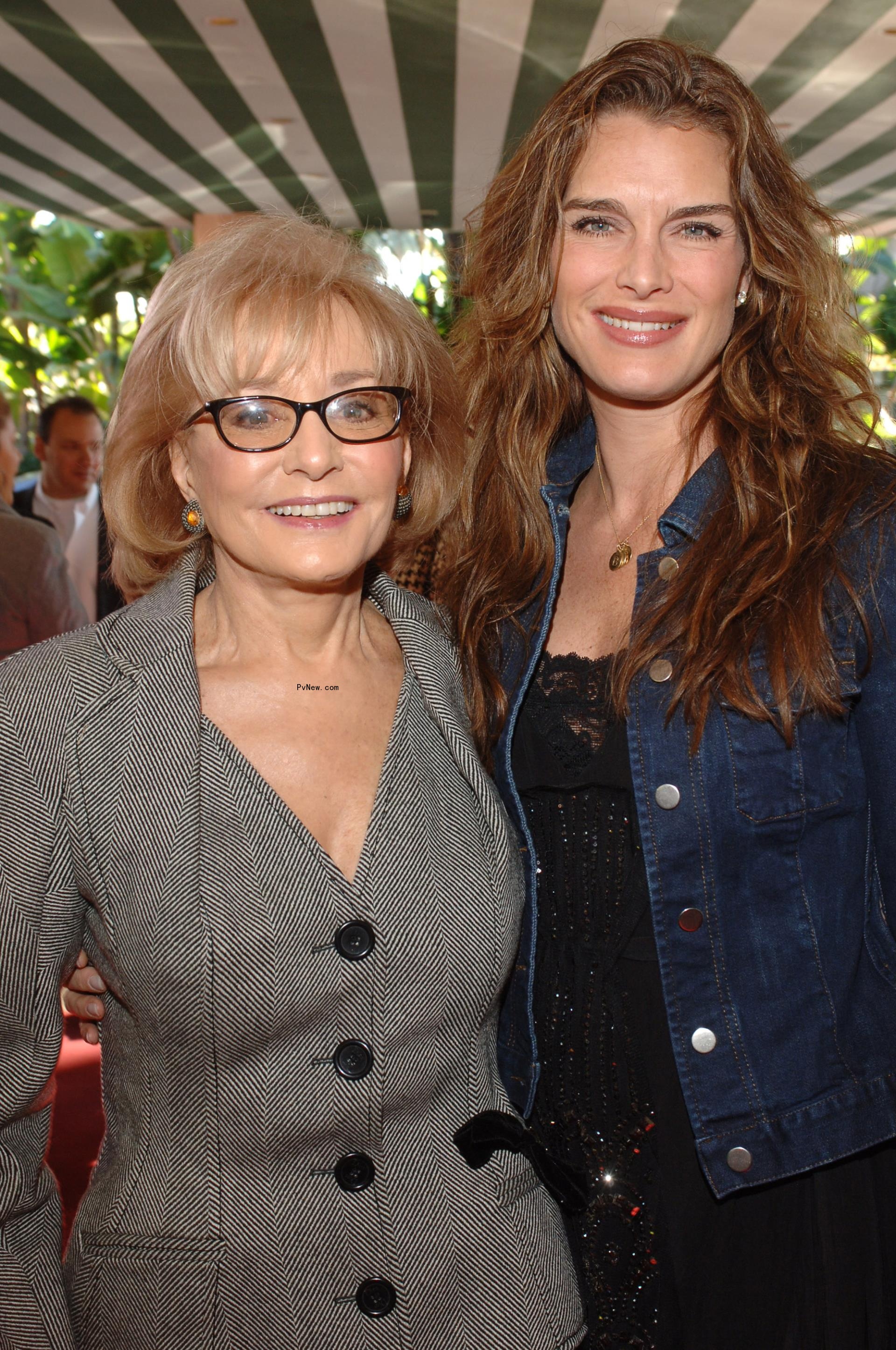 Barbara Walters and Brooke Shields posing together at an event.