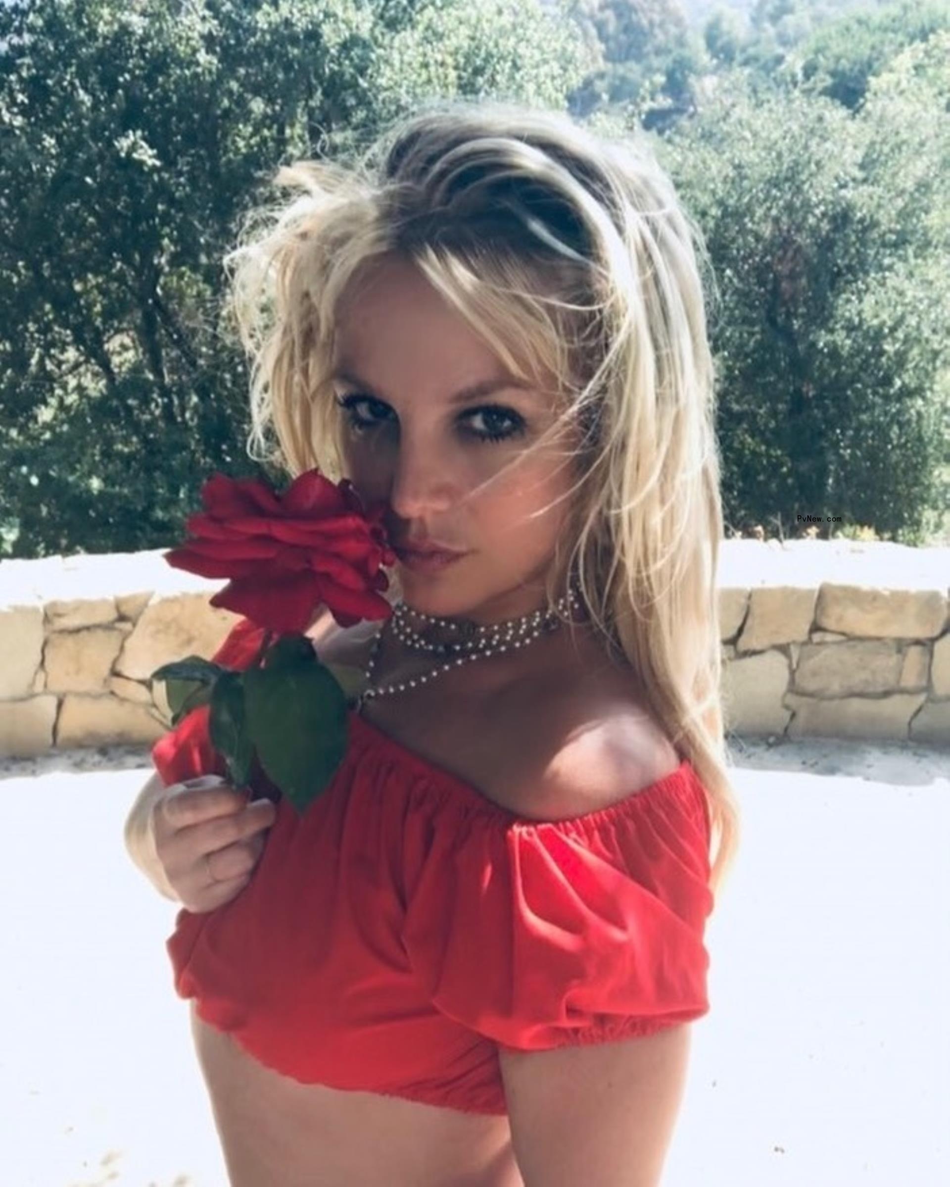 Britney Spears holding a rose.