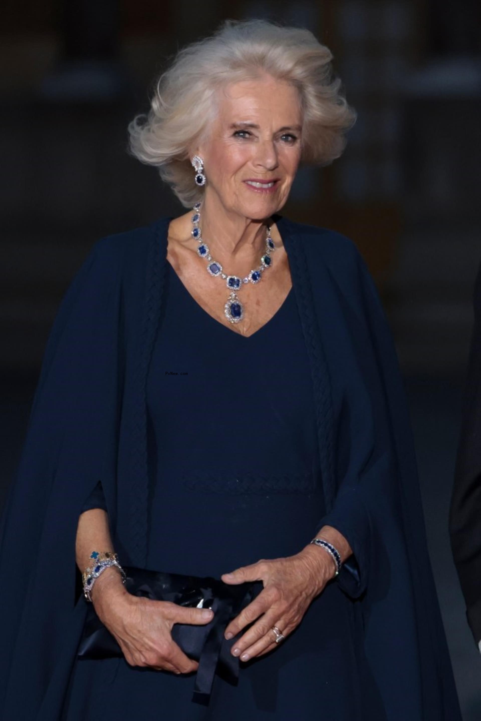 Queen Camilla