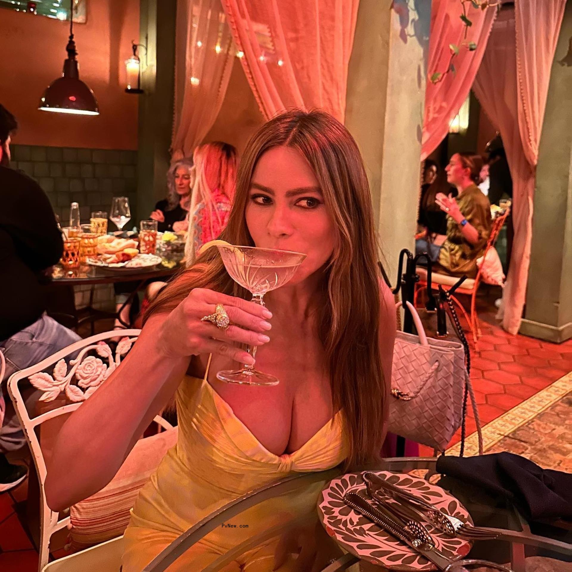 Sofía Vergara drinking.