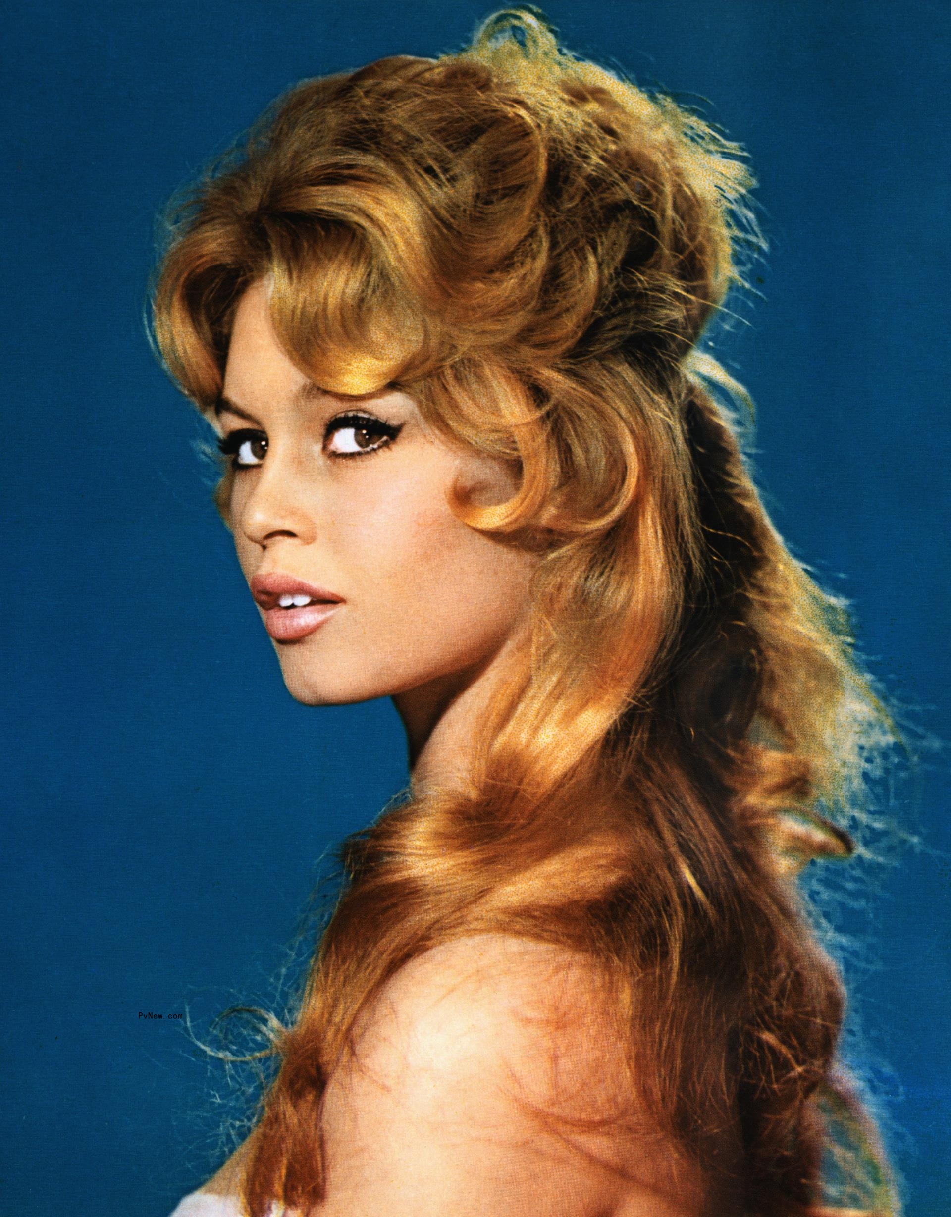 Brigitte Bardot 