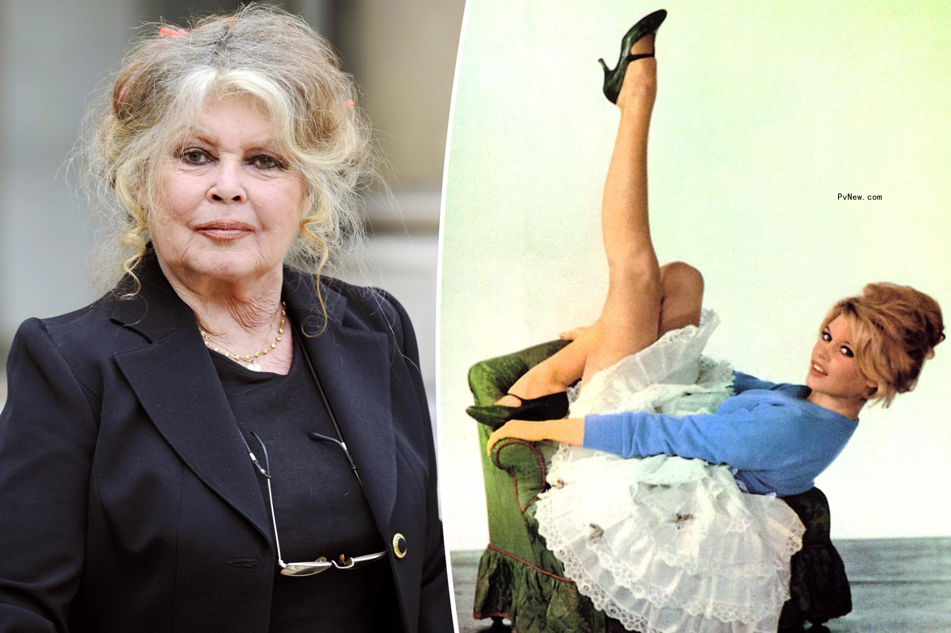 Brigitte Bardot, 88, suffers breathing issues as first respo<i></i>nders rush to her home