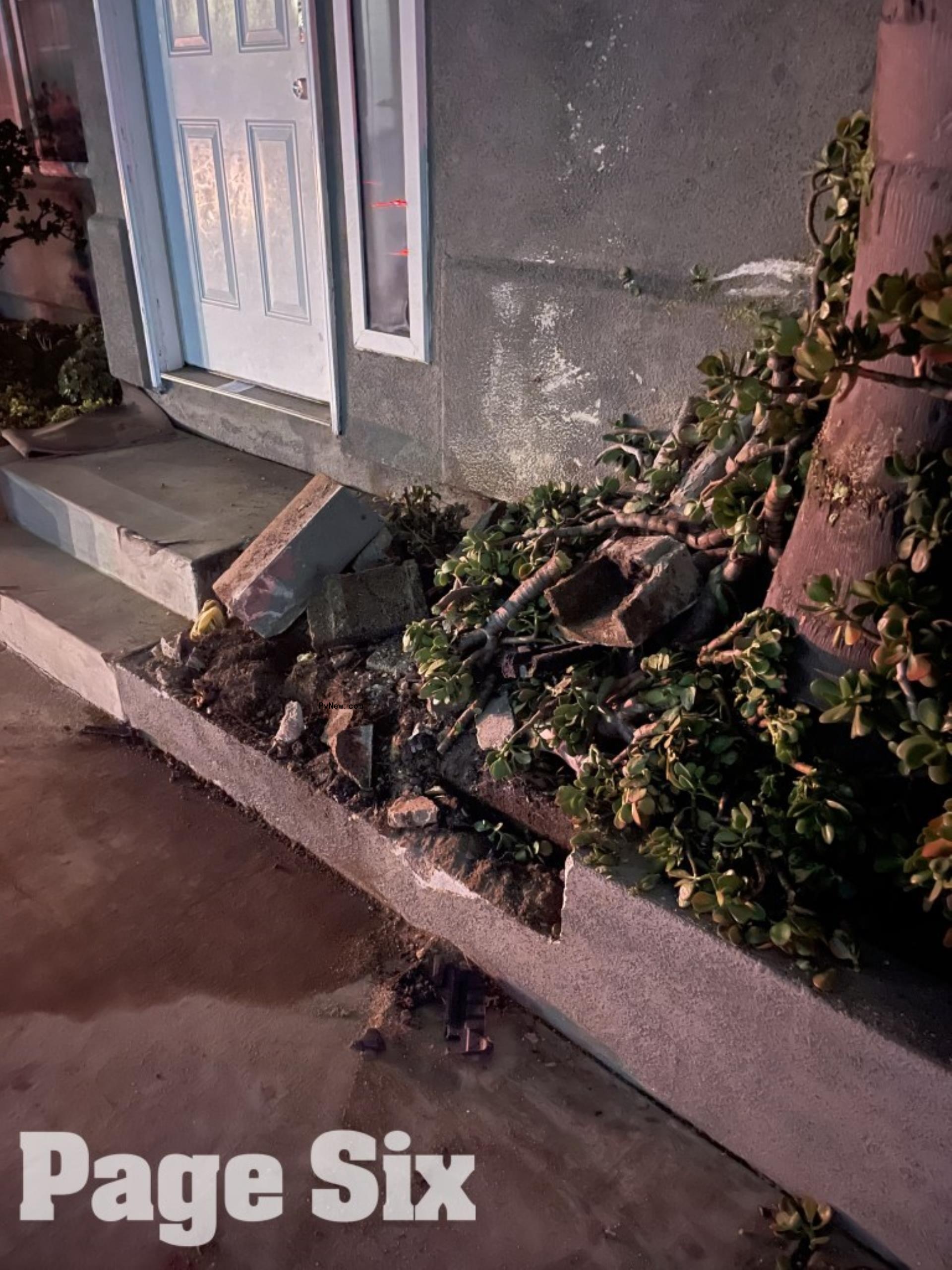 Shannon Beador car crash scene