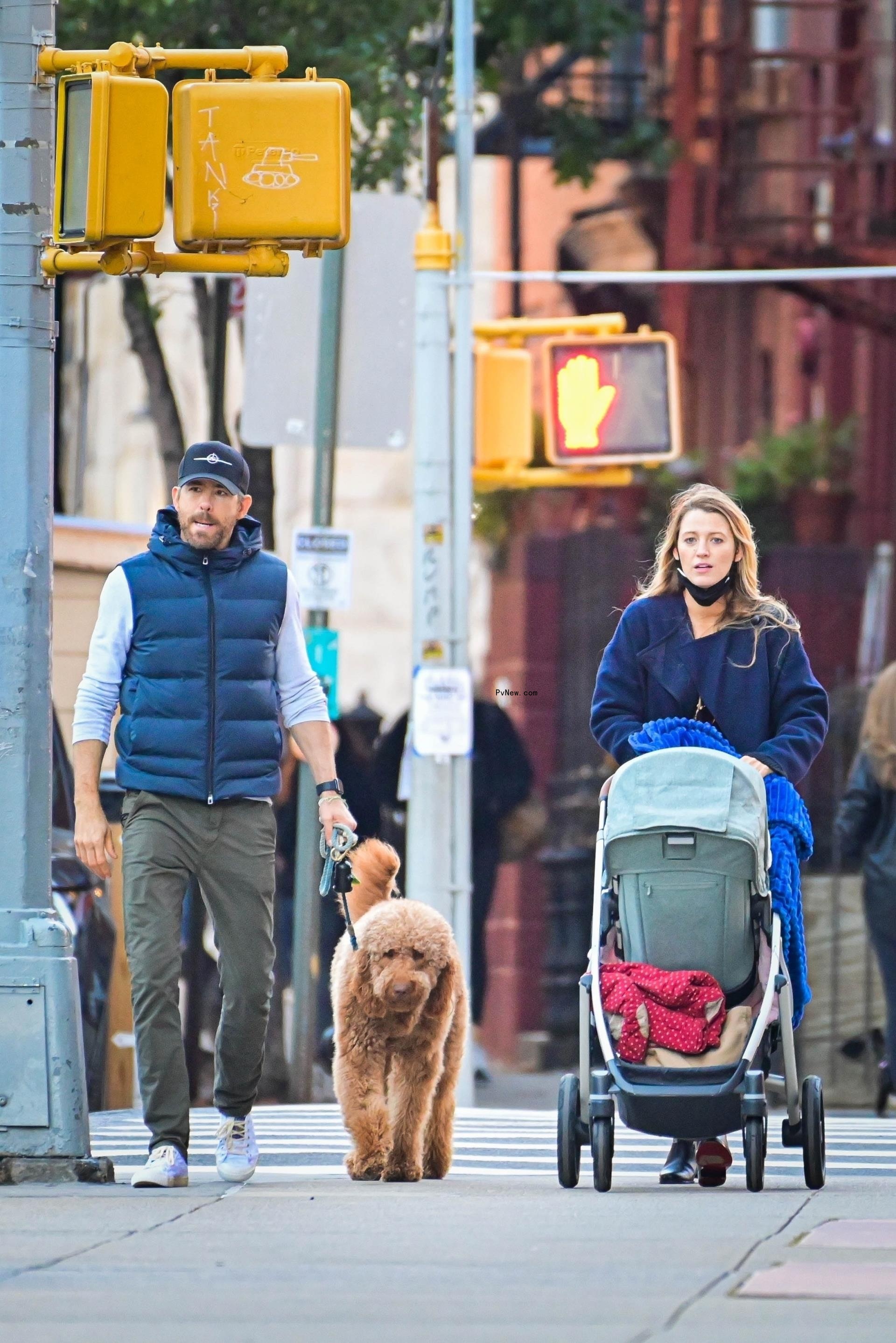 Blake Lively and Ryan Reynolds push stroller and walk dogs