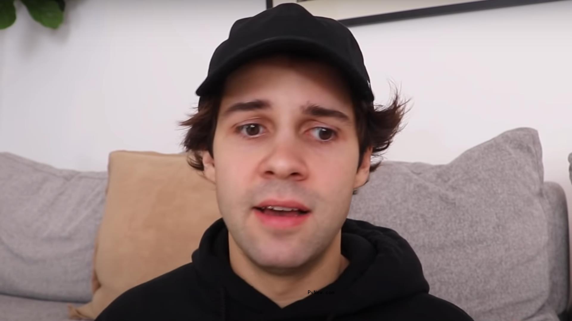 YouTube Suspends Ads From David Dobrik’s Channels Over Sexual-Assault Claims