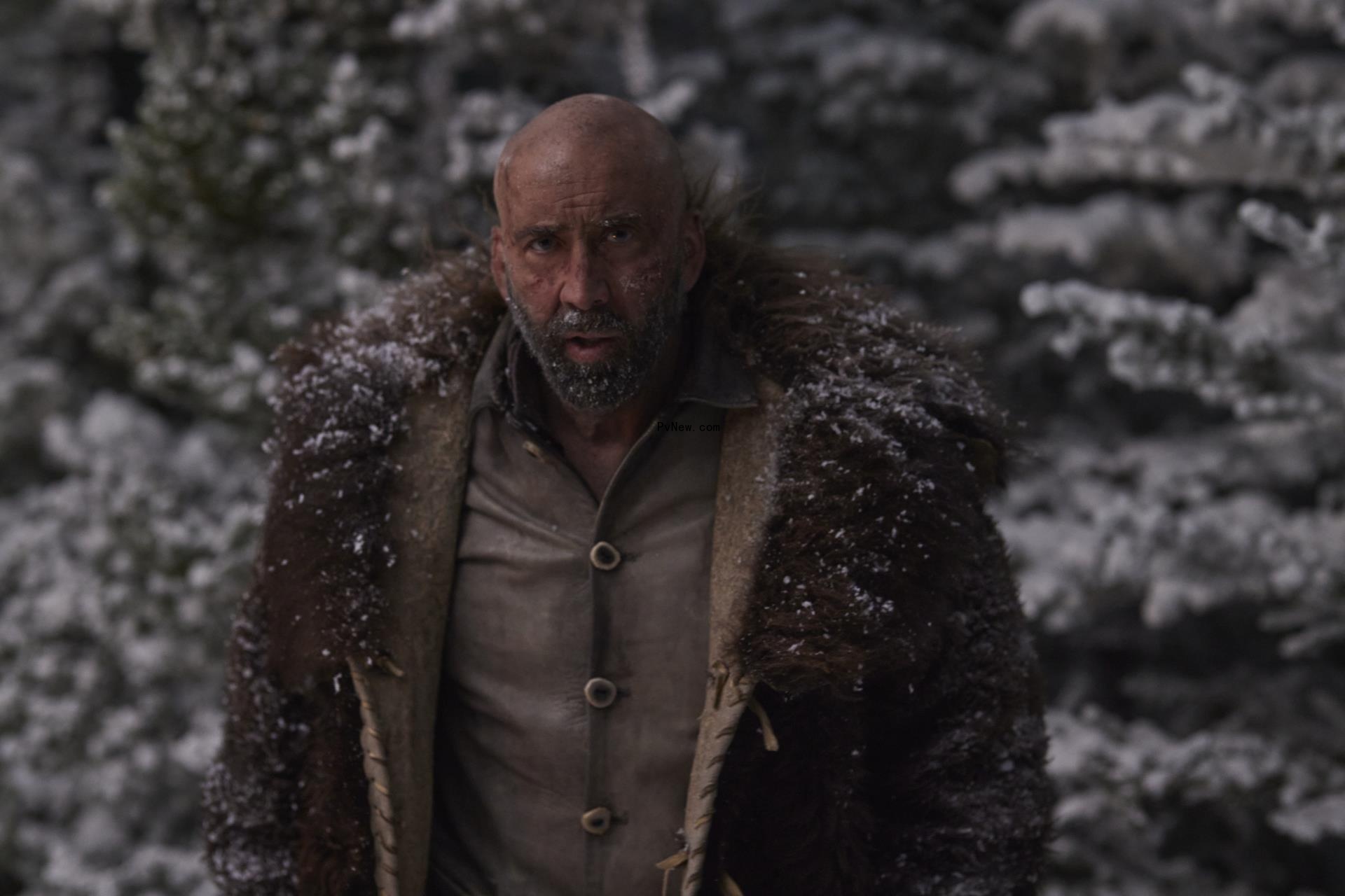 ‘Butcher’s Crossing’ Producer on Casting Nicolas Cage and Working with the Blackfeet Nation to Tell the Story of Buffalo Decimation in America