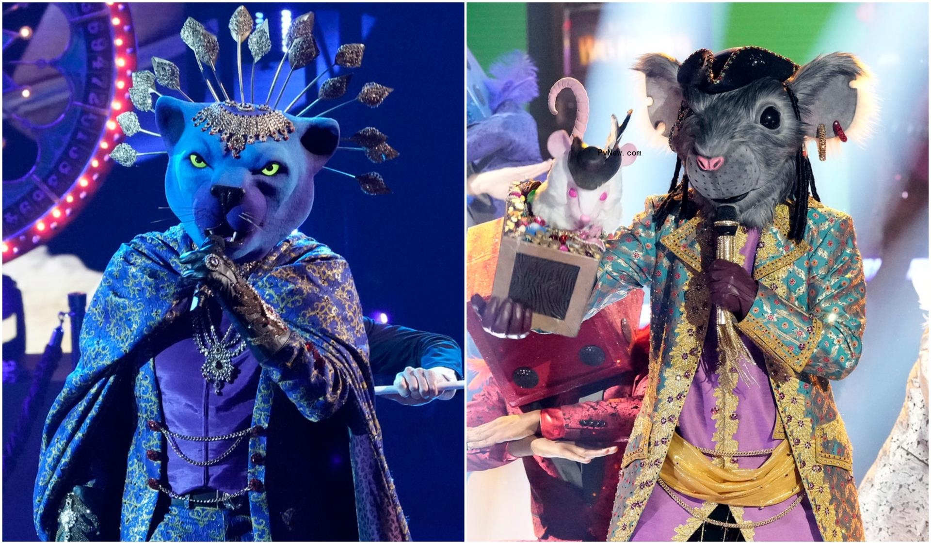 ‘The Masked Singer’ Triple Reveal Shares Identities of Hummingbird, Pi-Rat and Panther: Here’s Who They Are