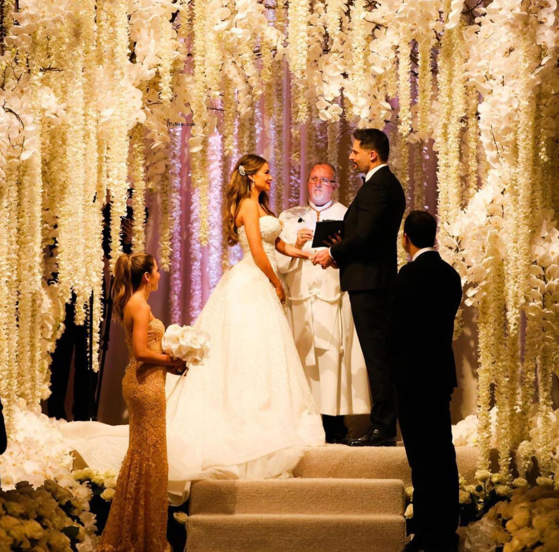 Sofía Vergara and Joe Manganiello on their wedding day.