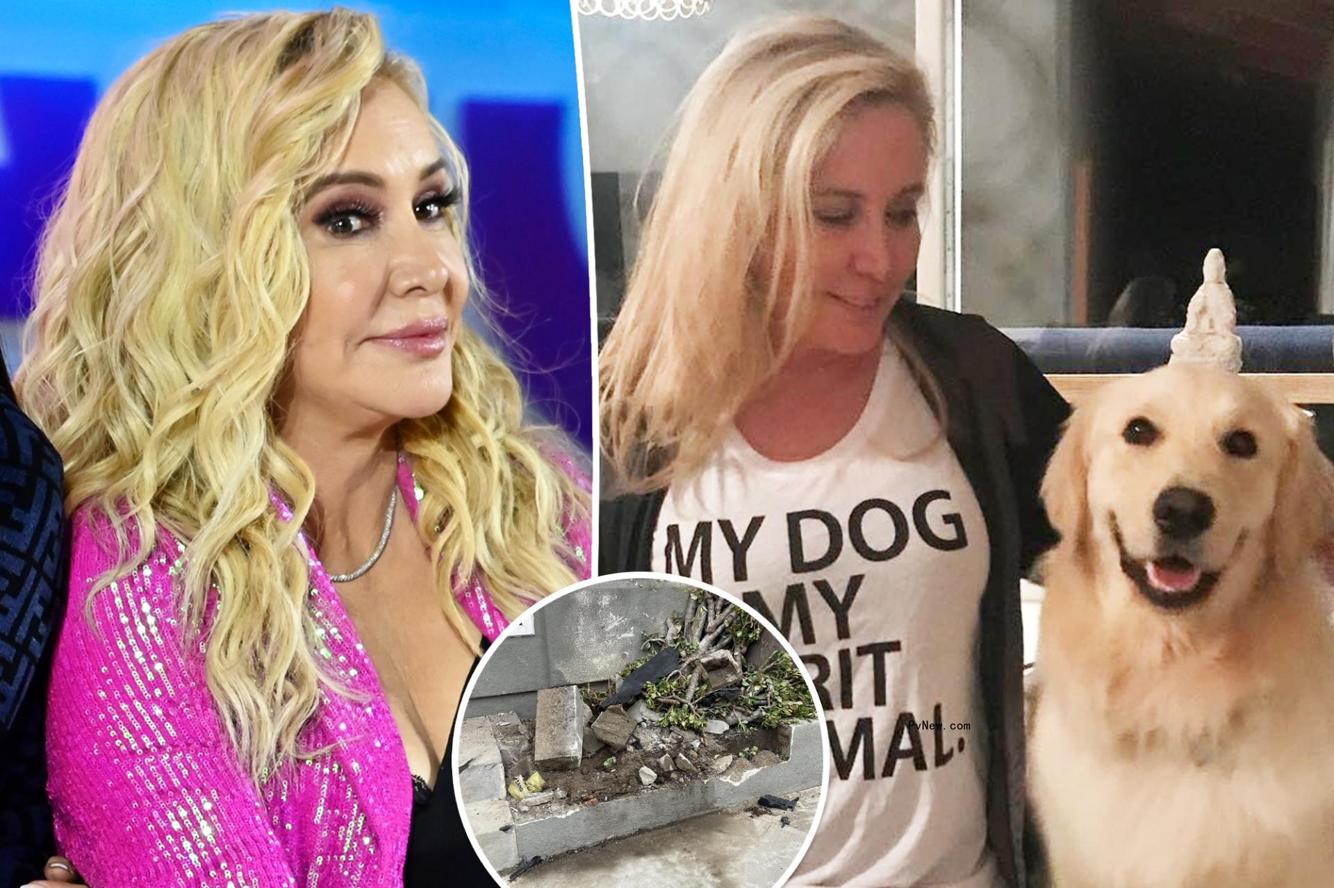 Shannon Beador being investigated by animal co<i></i>ntrol after driving drunk with dog Archie