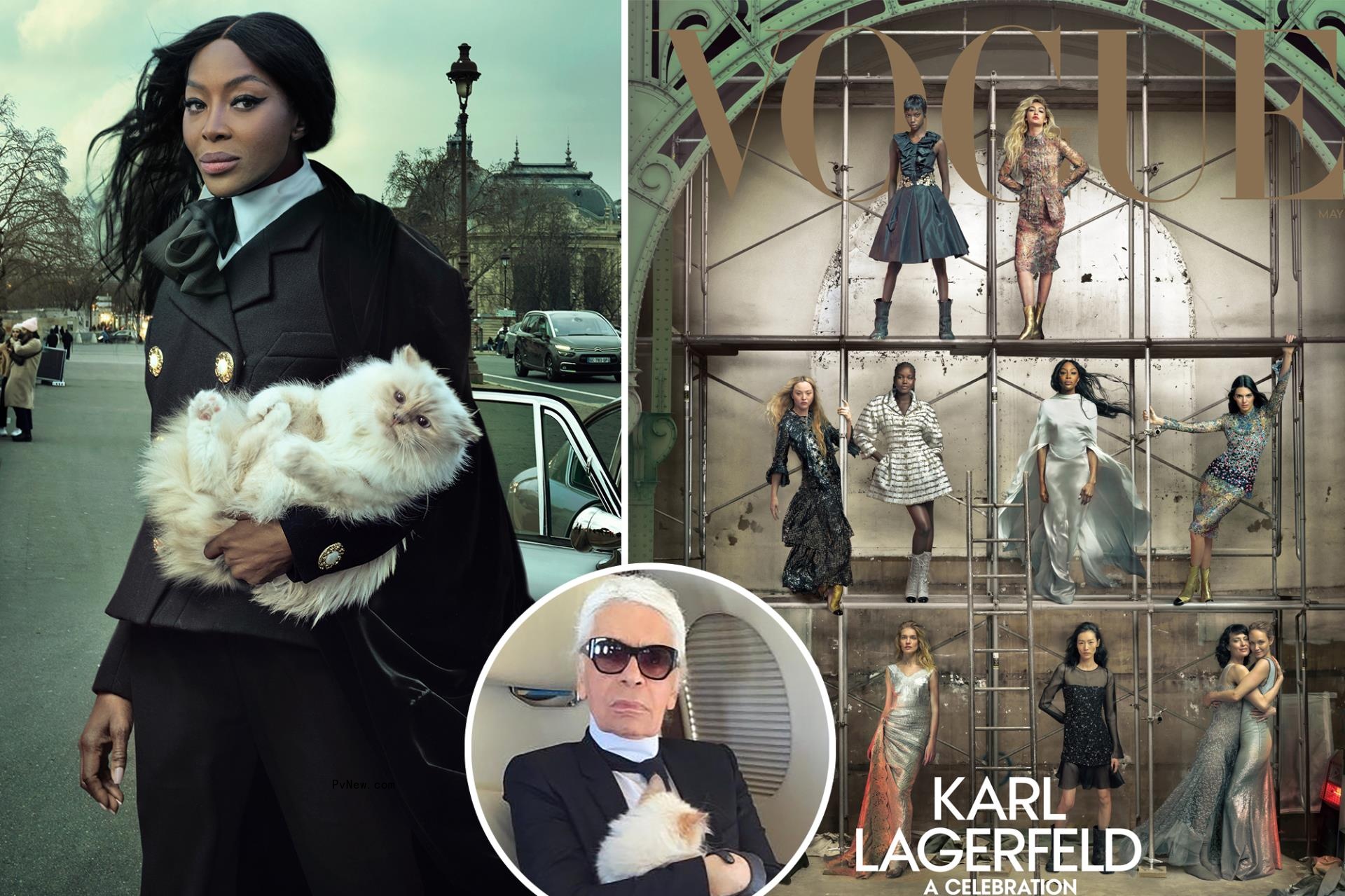 Karl Lagerfeld’s cat, Choupette, stars in Vogue cover story
