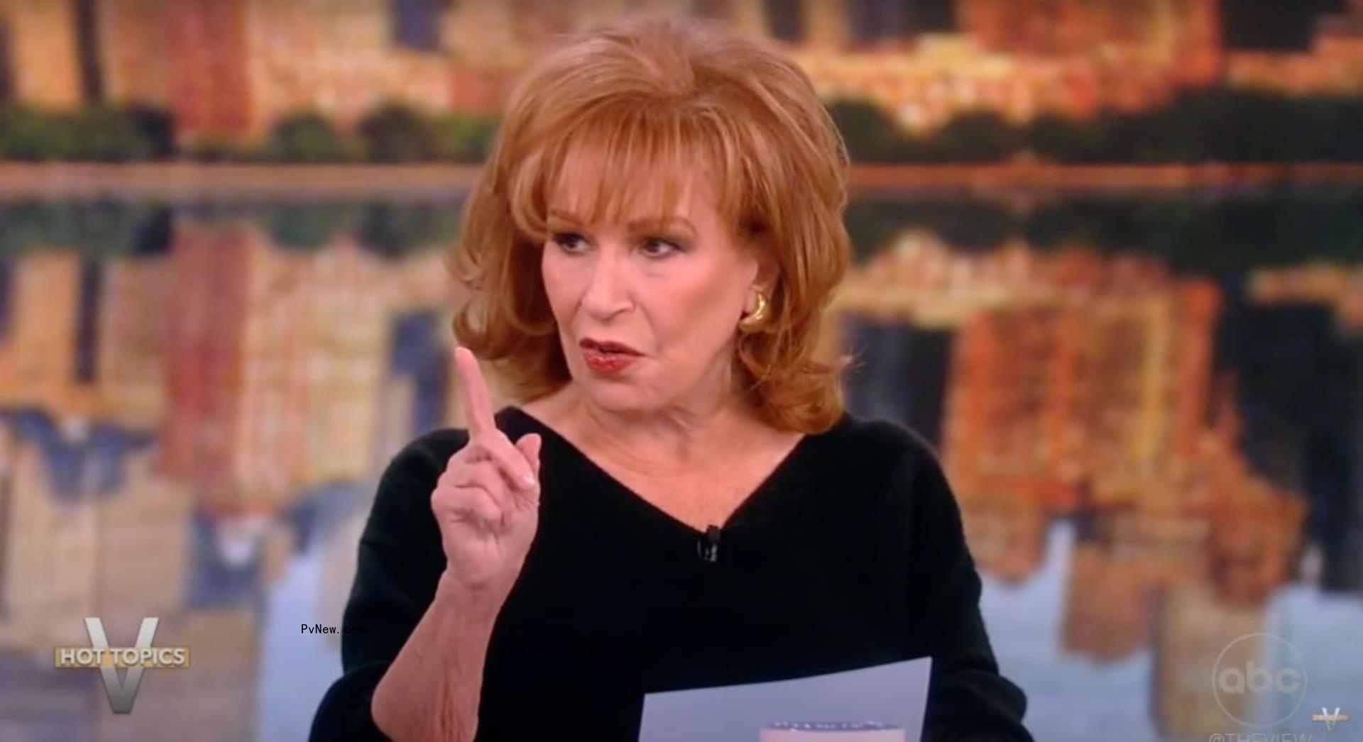 Joy Behar on The View