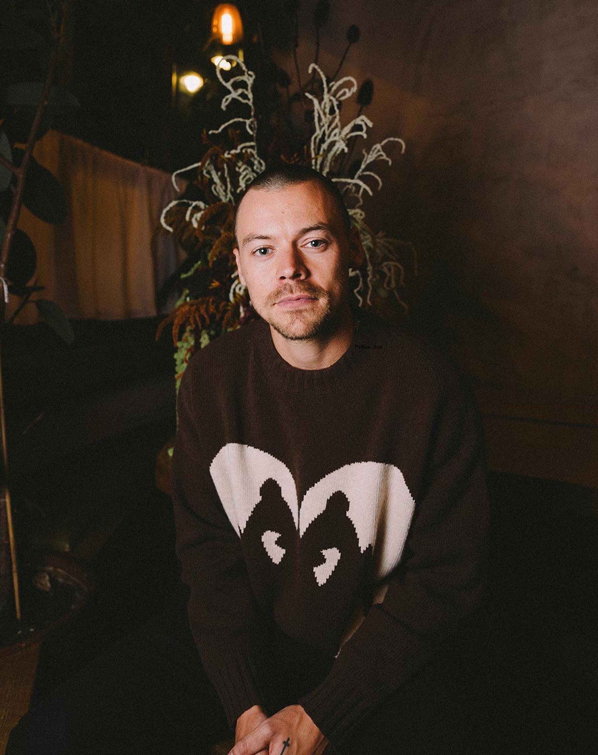 Harry Styles witH. shaved head.