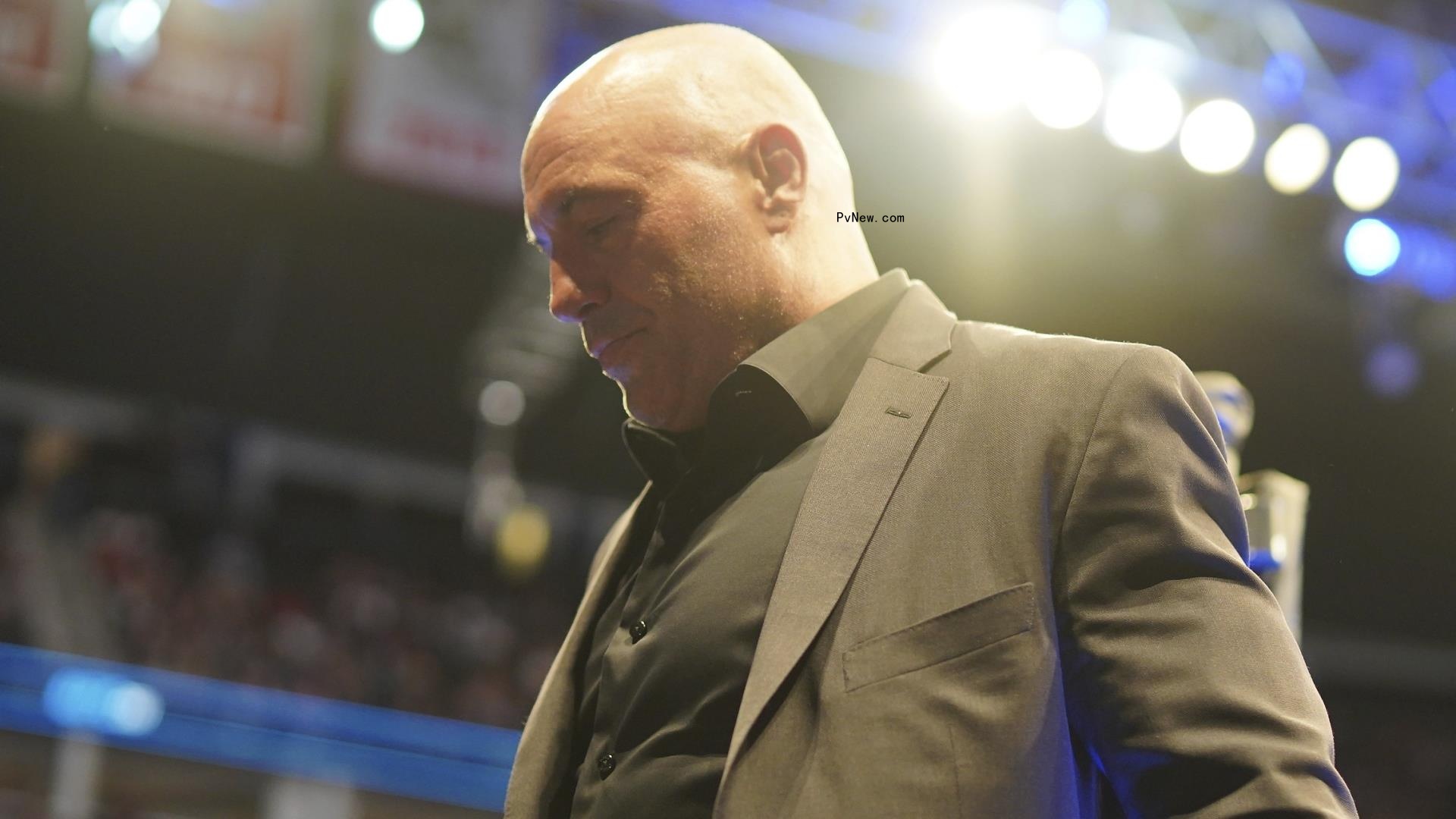 Joe Rogan Anti-Vax Comments a<i></i>bout Young People Create New Headache for Spotify