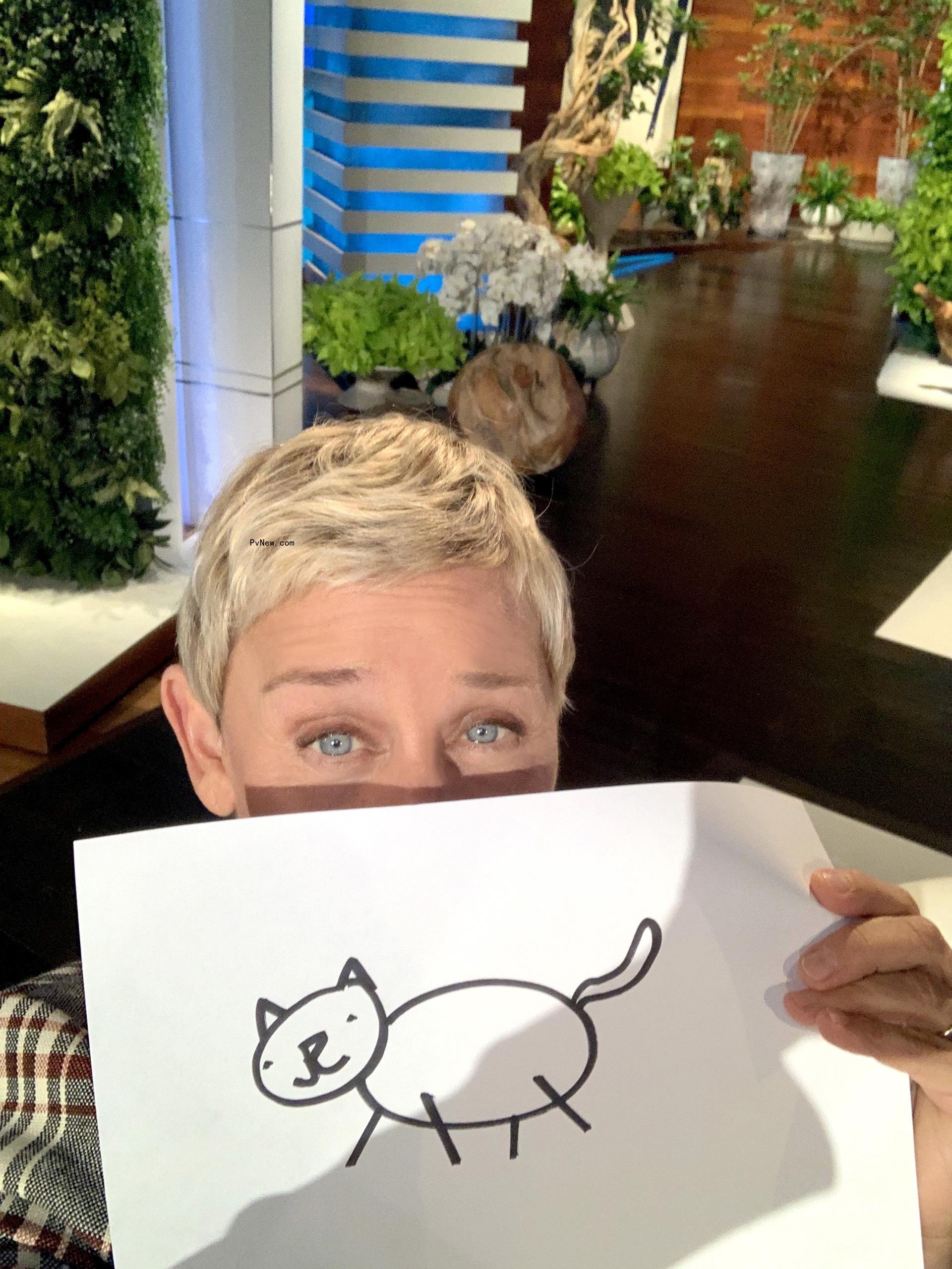 Ellen DeGeneres Is Jumping on the NFT Craze