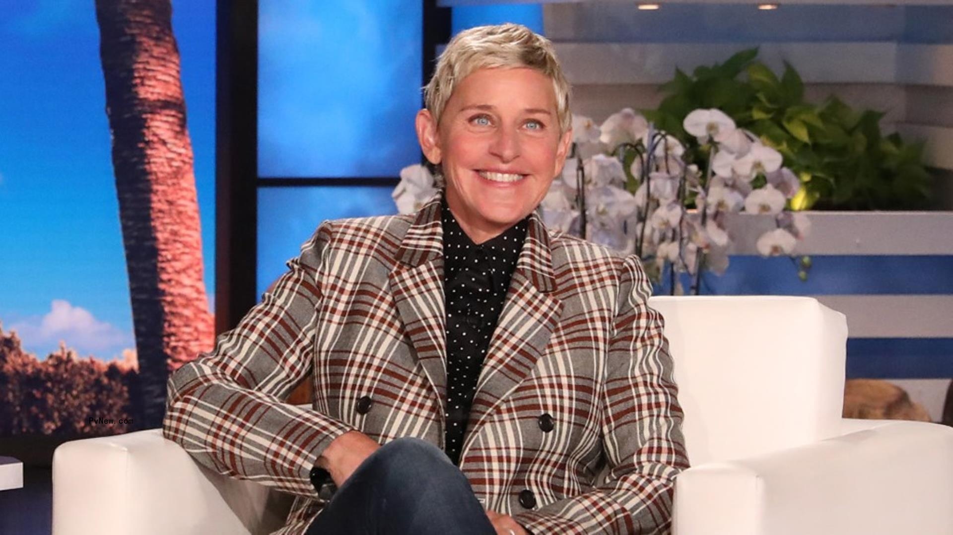 Ellen DeGeneres Is Jumping on the NFT Craze