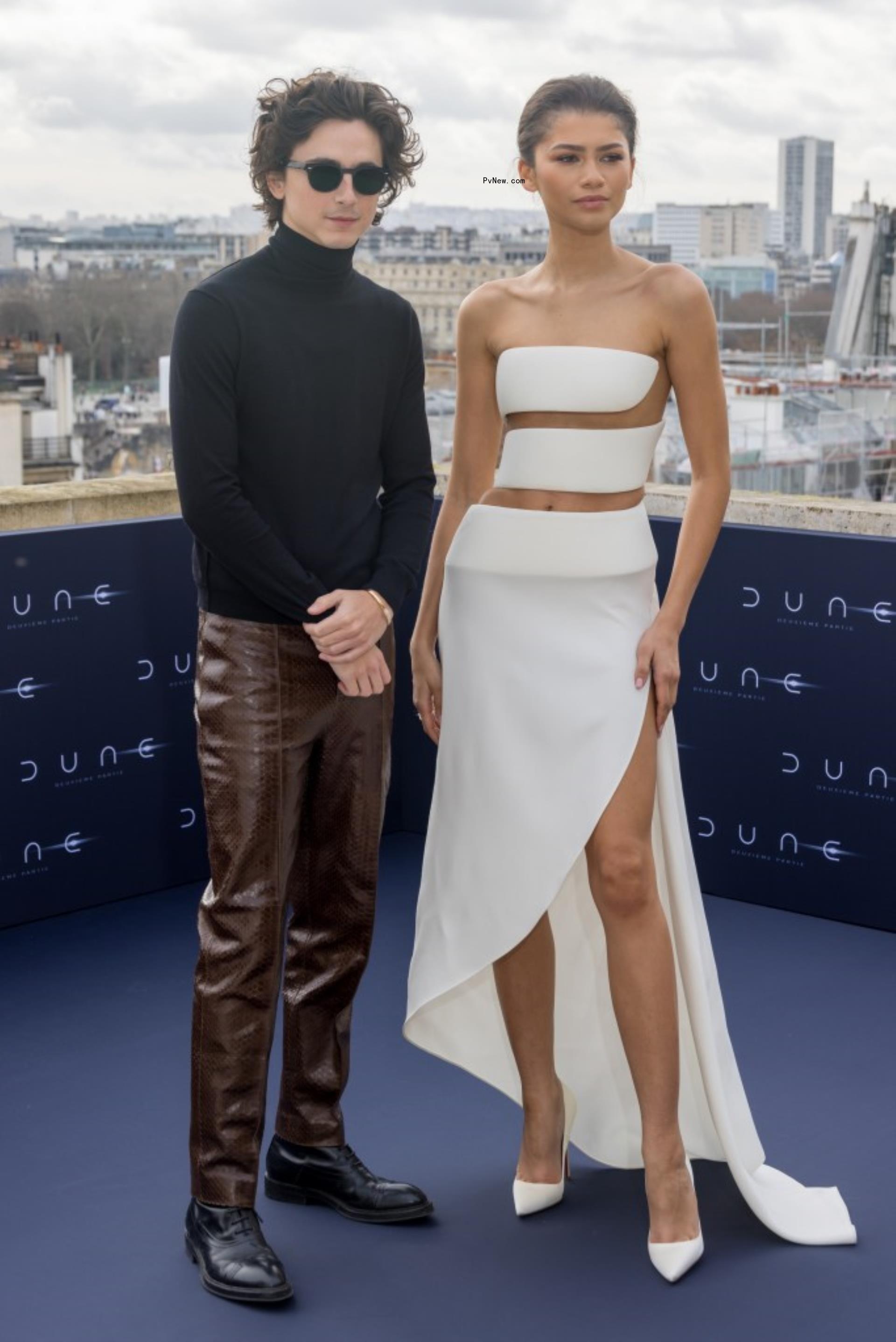 Zendaya and Timothee Chalamet