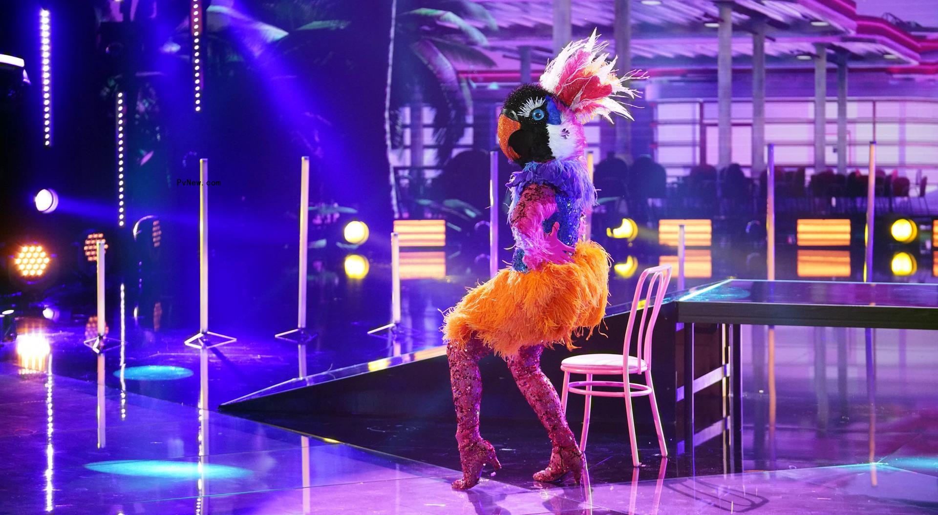‘The Masked Dancer’ Reveals Identity of the Exotic Bird: Here’s the Celebrity Under the Mask