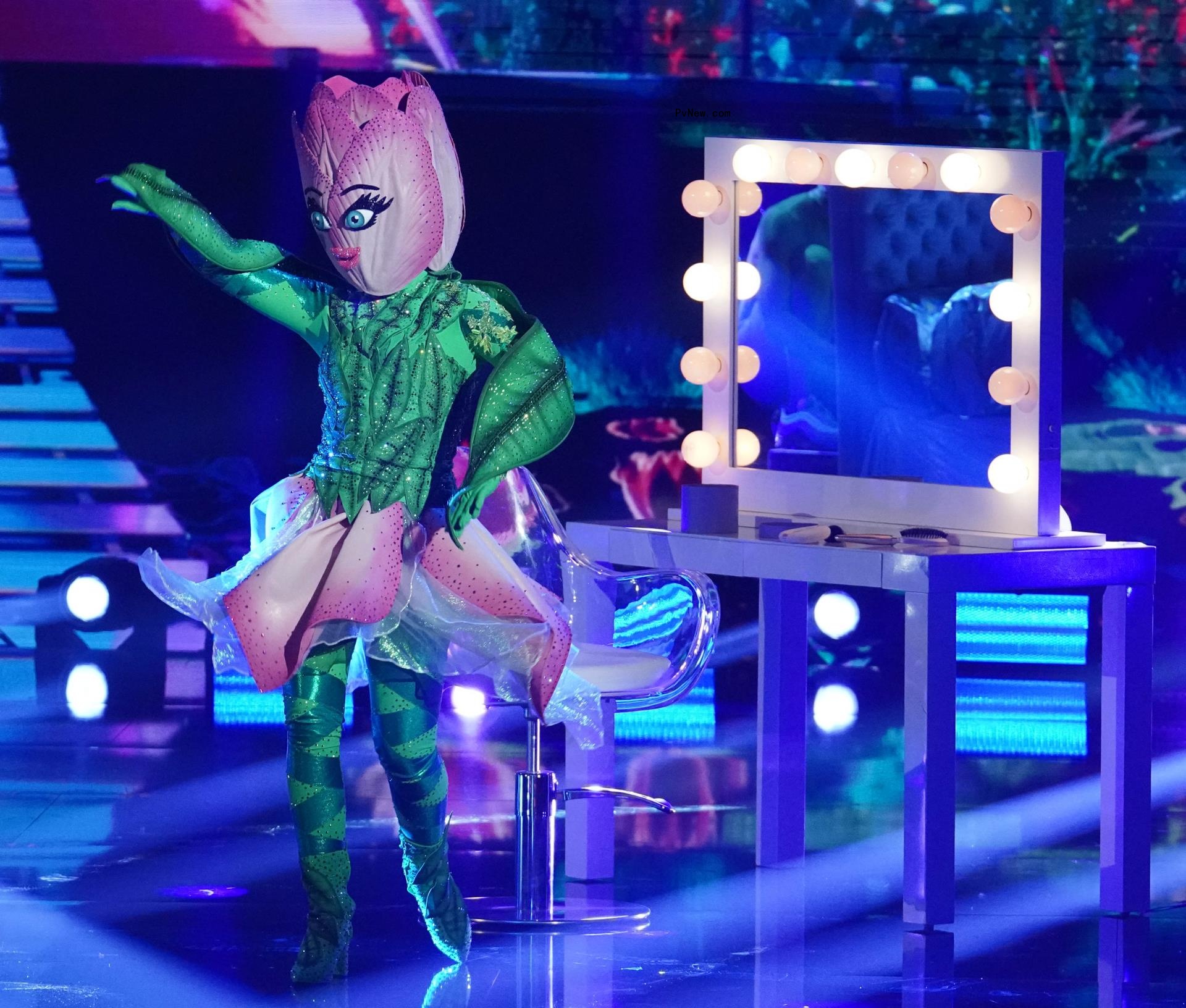 ‘The Masked Dancer’ Reveals Identity of the Exotic Bird: Here’s the Celebrity Under the Mask