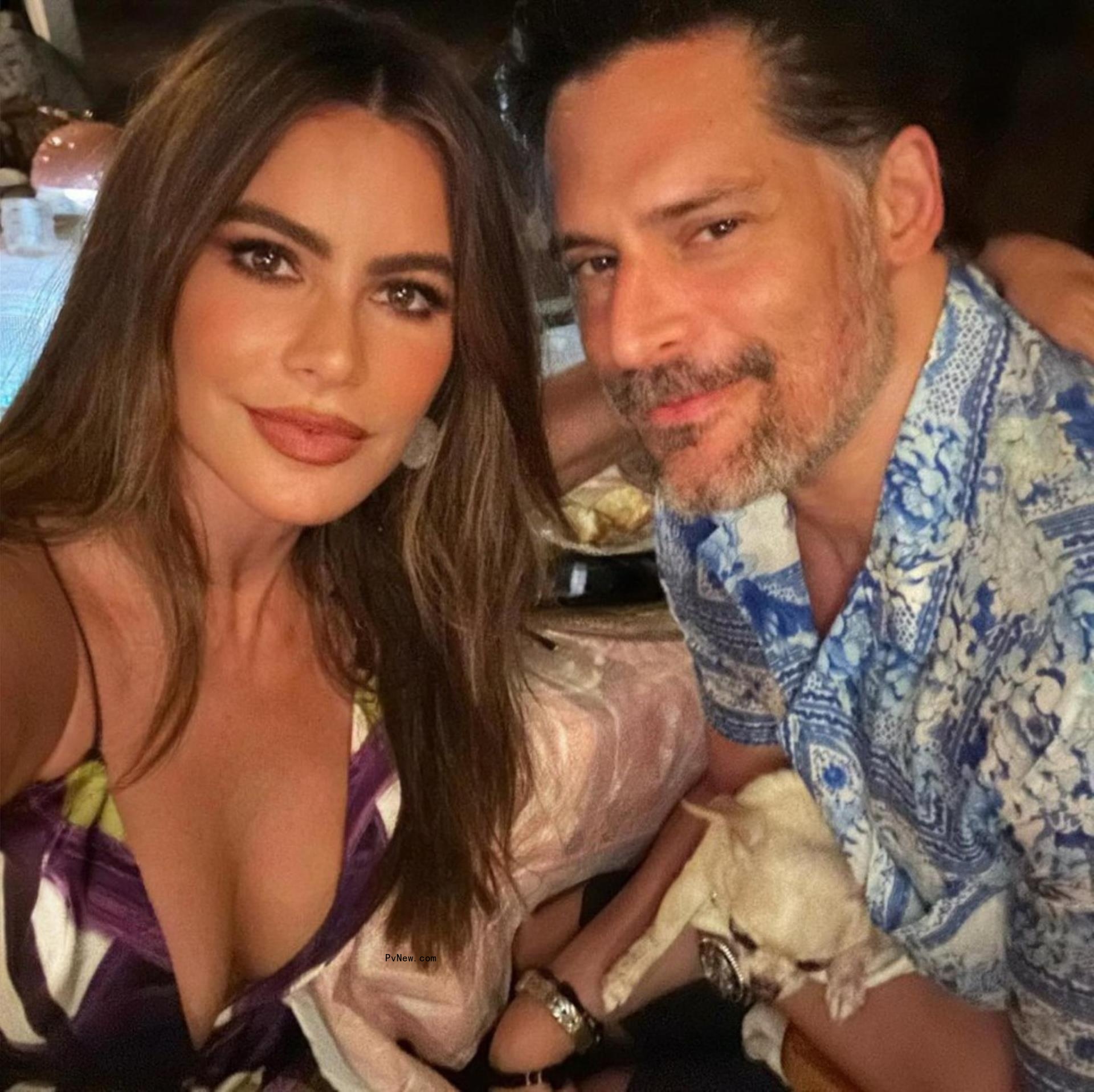 Sofía Vergara and Joe Manganiello take a selfie