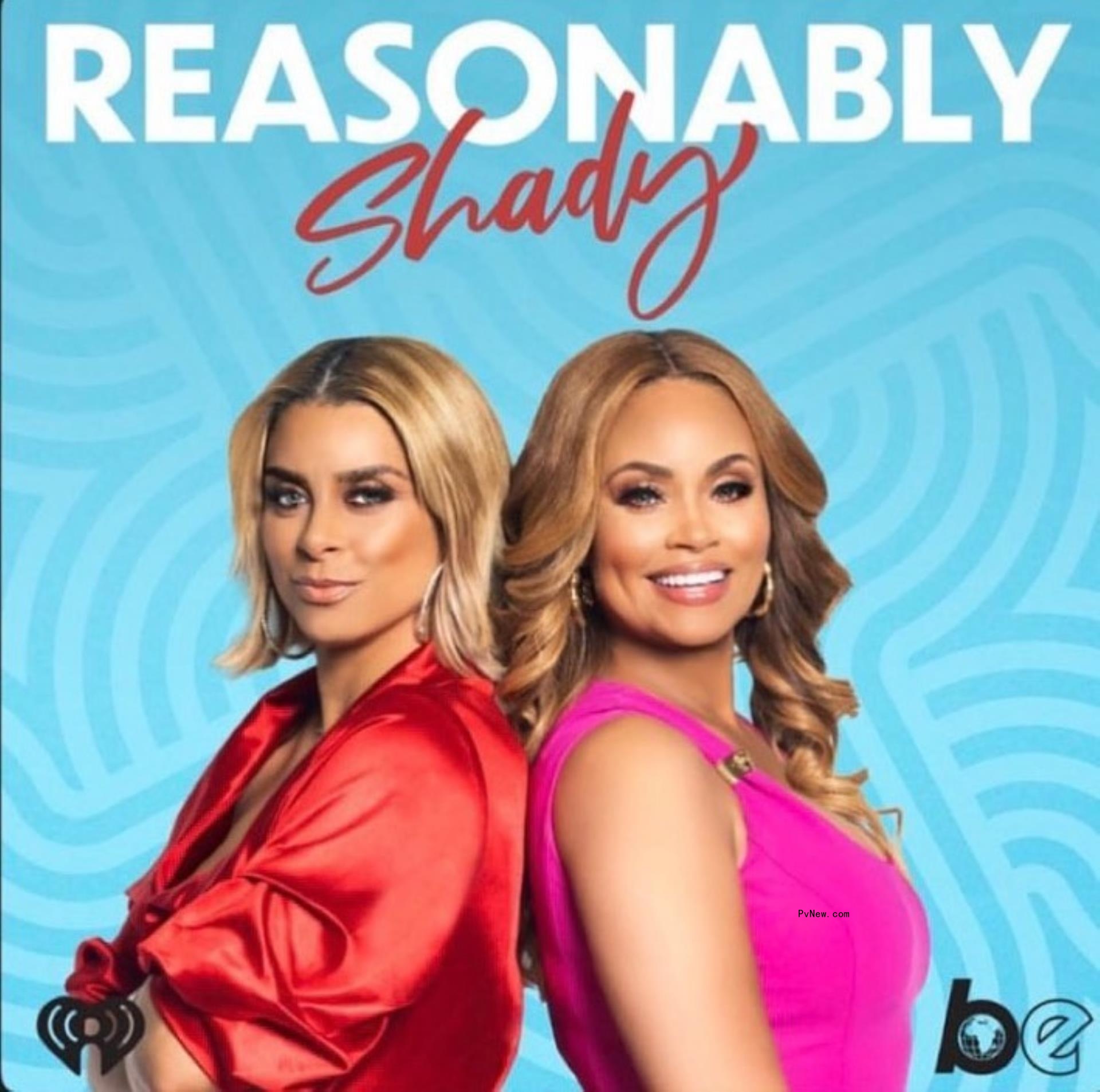 Robyn Dixon and Gizelle Bryant's 