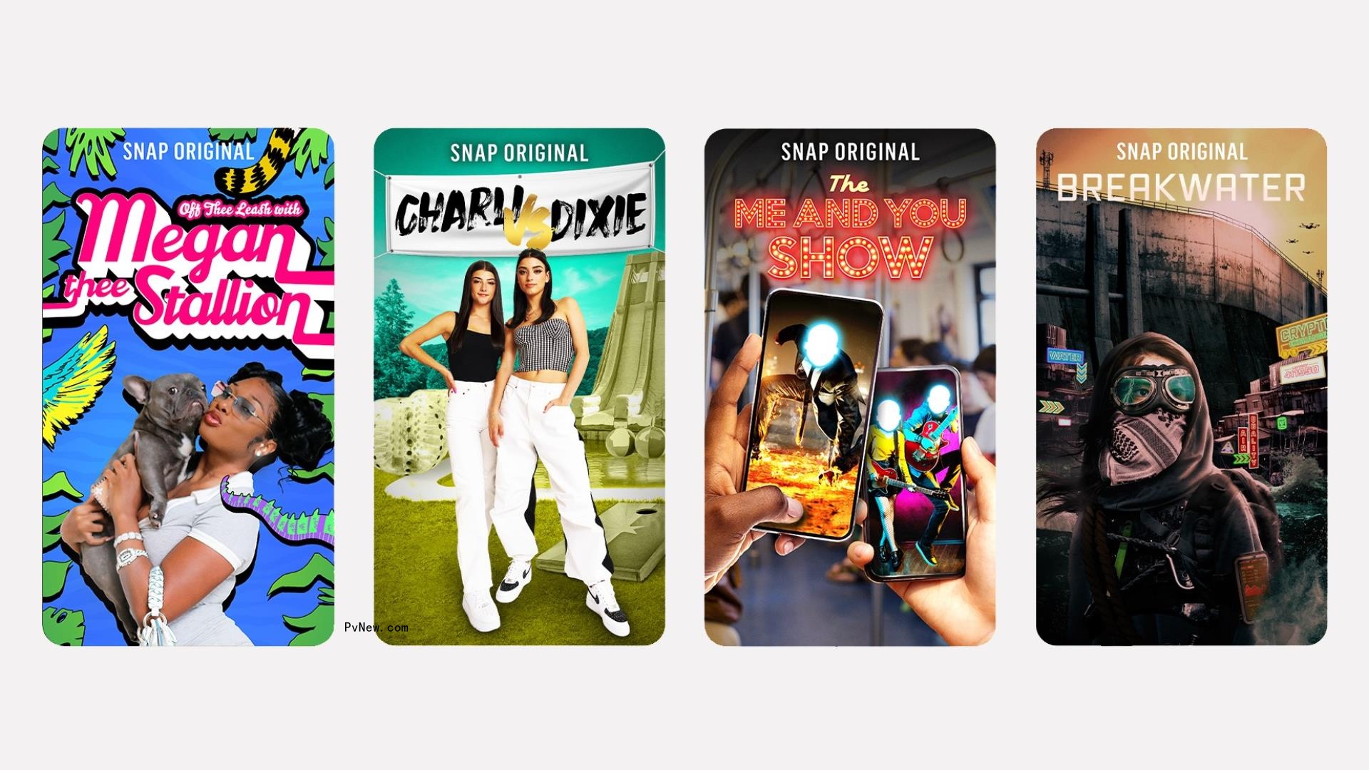 Snapchat Orders Shows With Megan Thee Stallion, Charli and Dixie D’Amelio