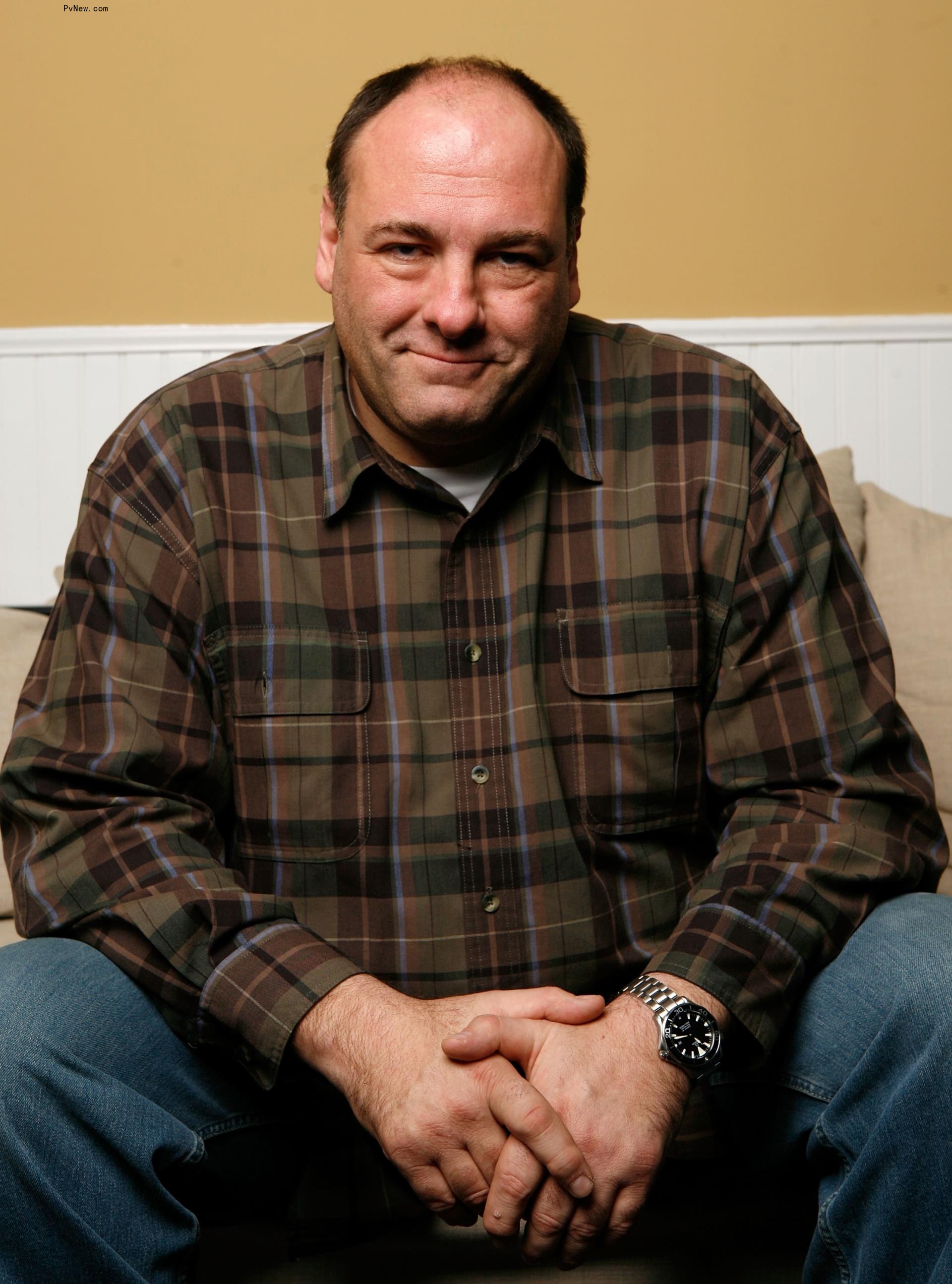 James Gandolfini.