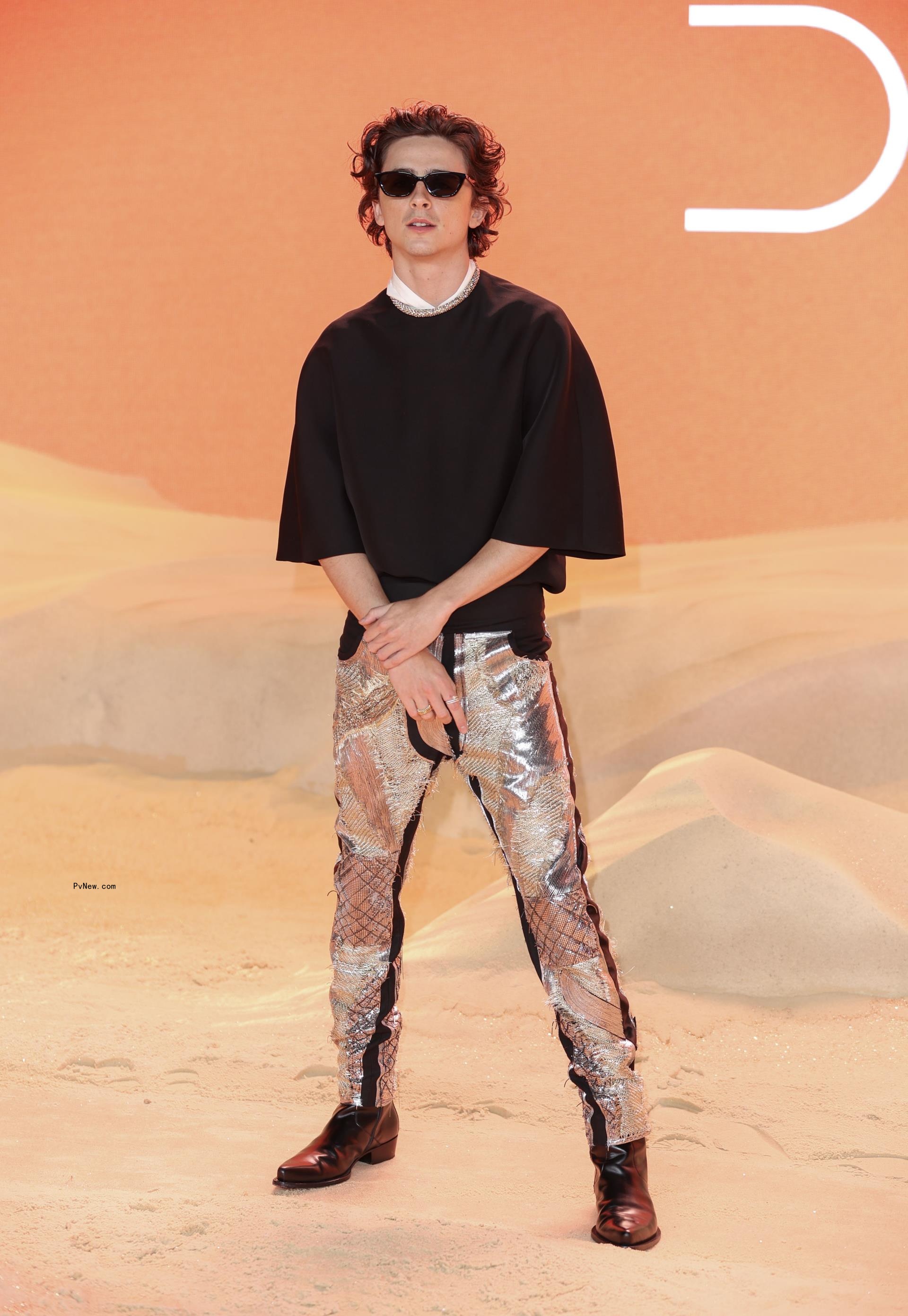 Timothée Chalamet