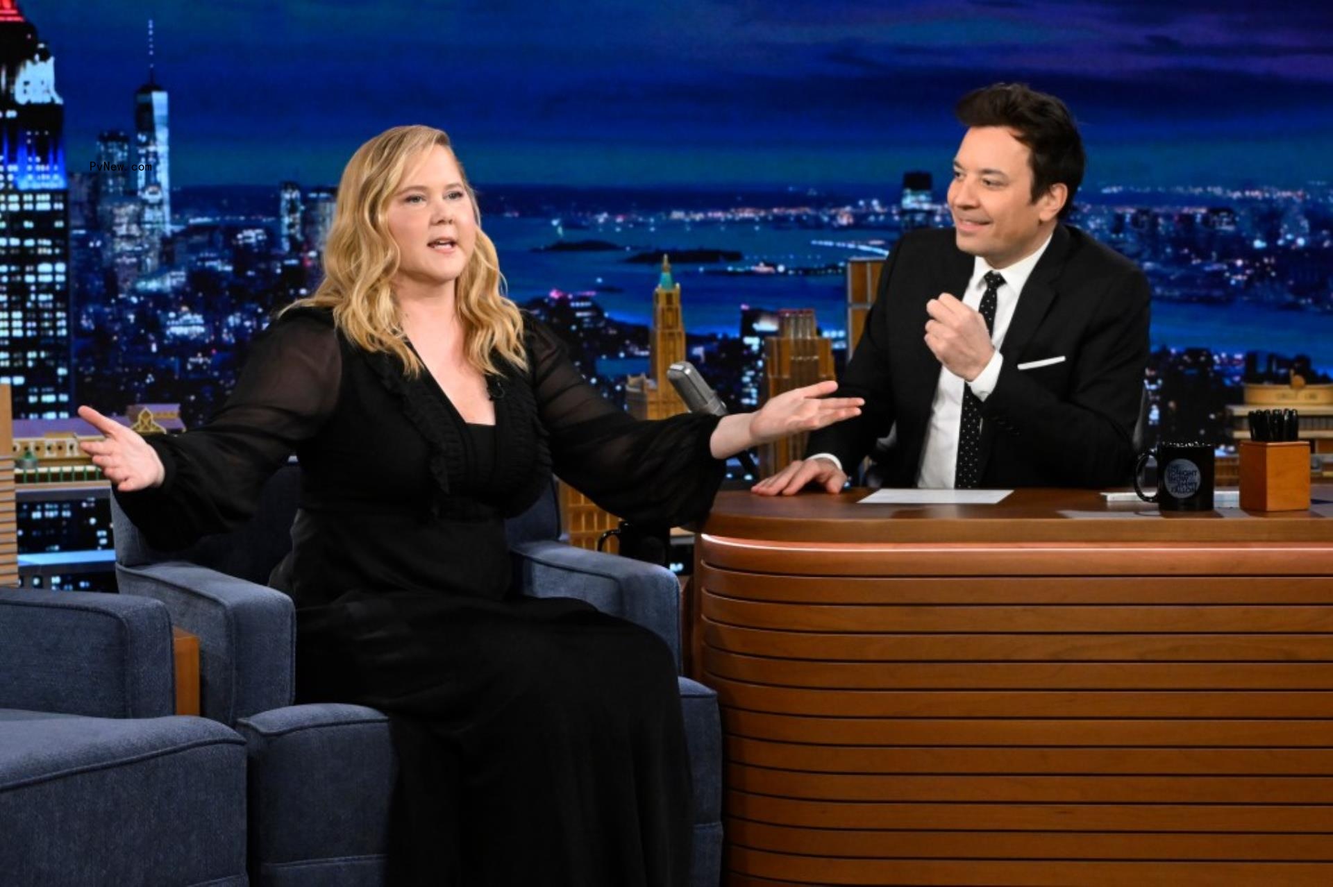amy schumer on