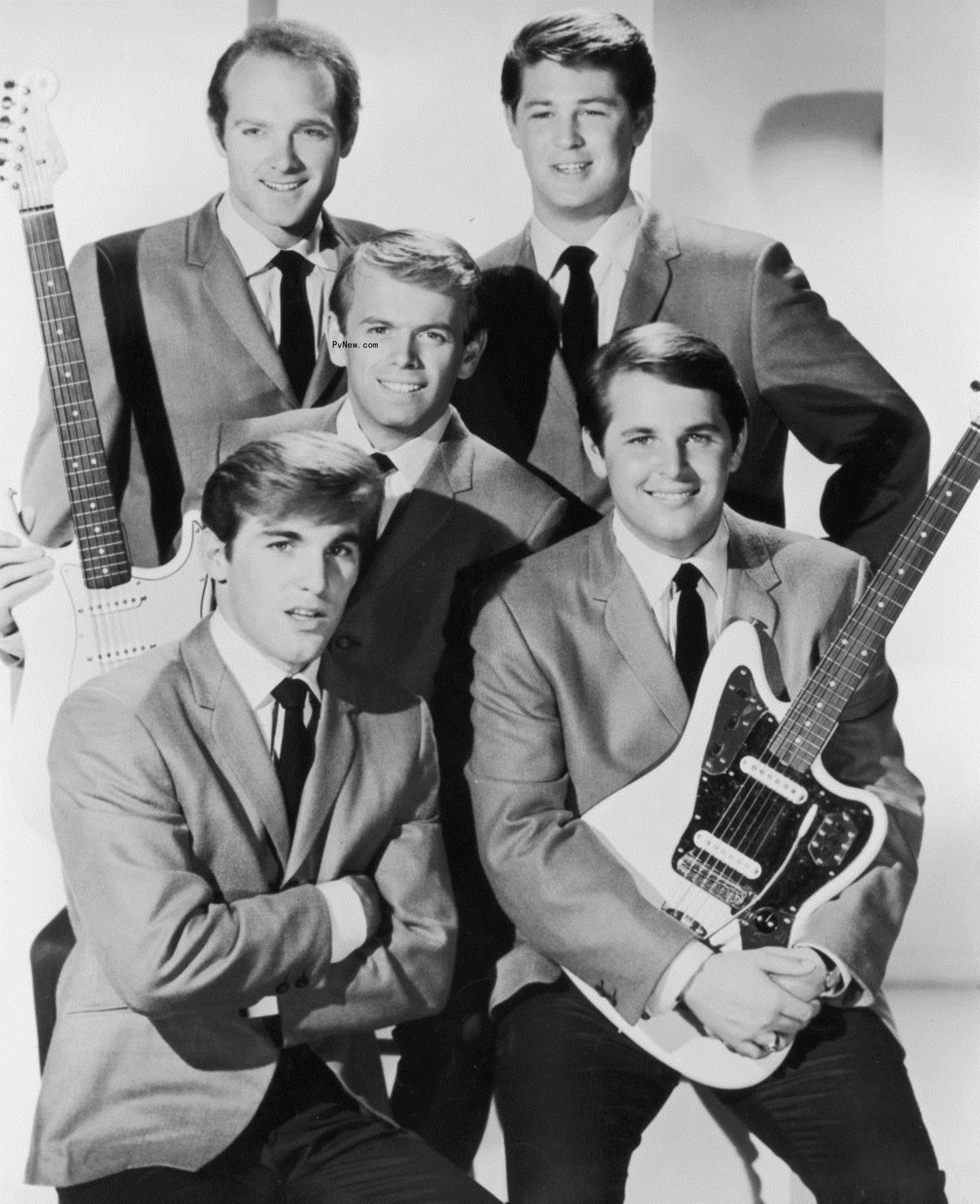 The Beach Boys