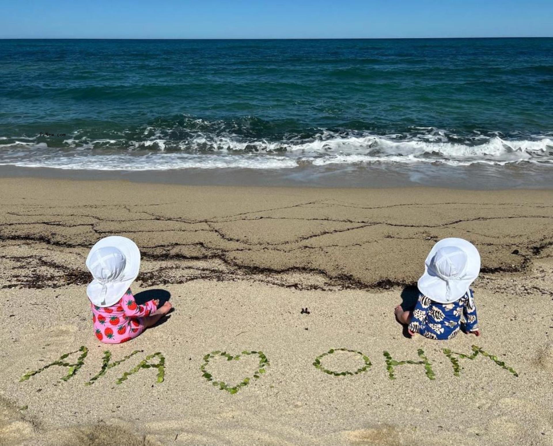 Hilary Swank twins at the beach