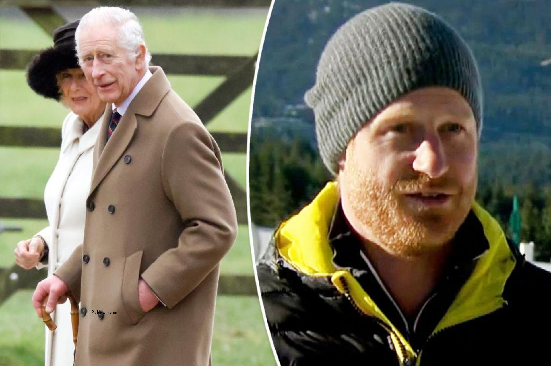 Prince Harry and Meghan Markle at the One Year to Go Dinner.