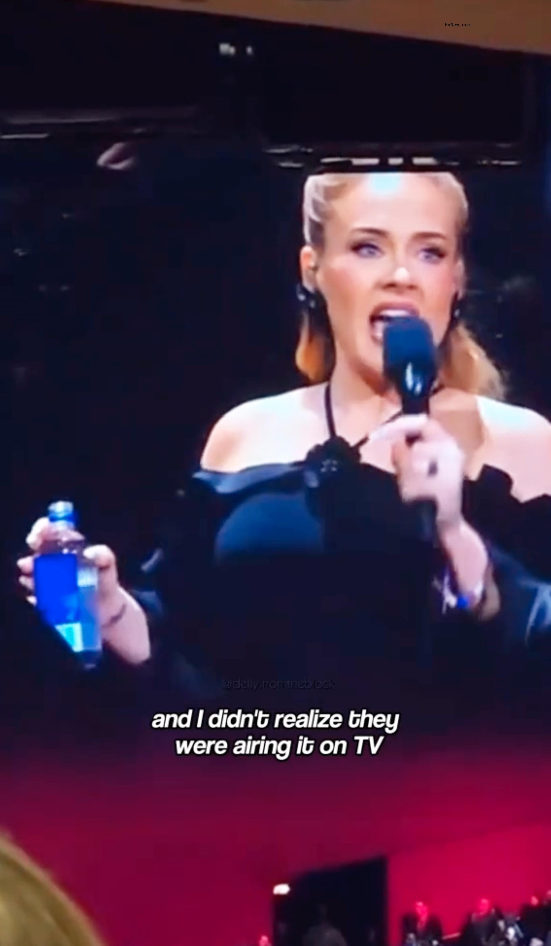 Adele speaking