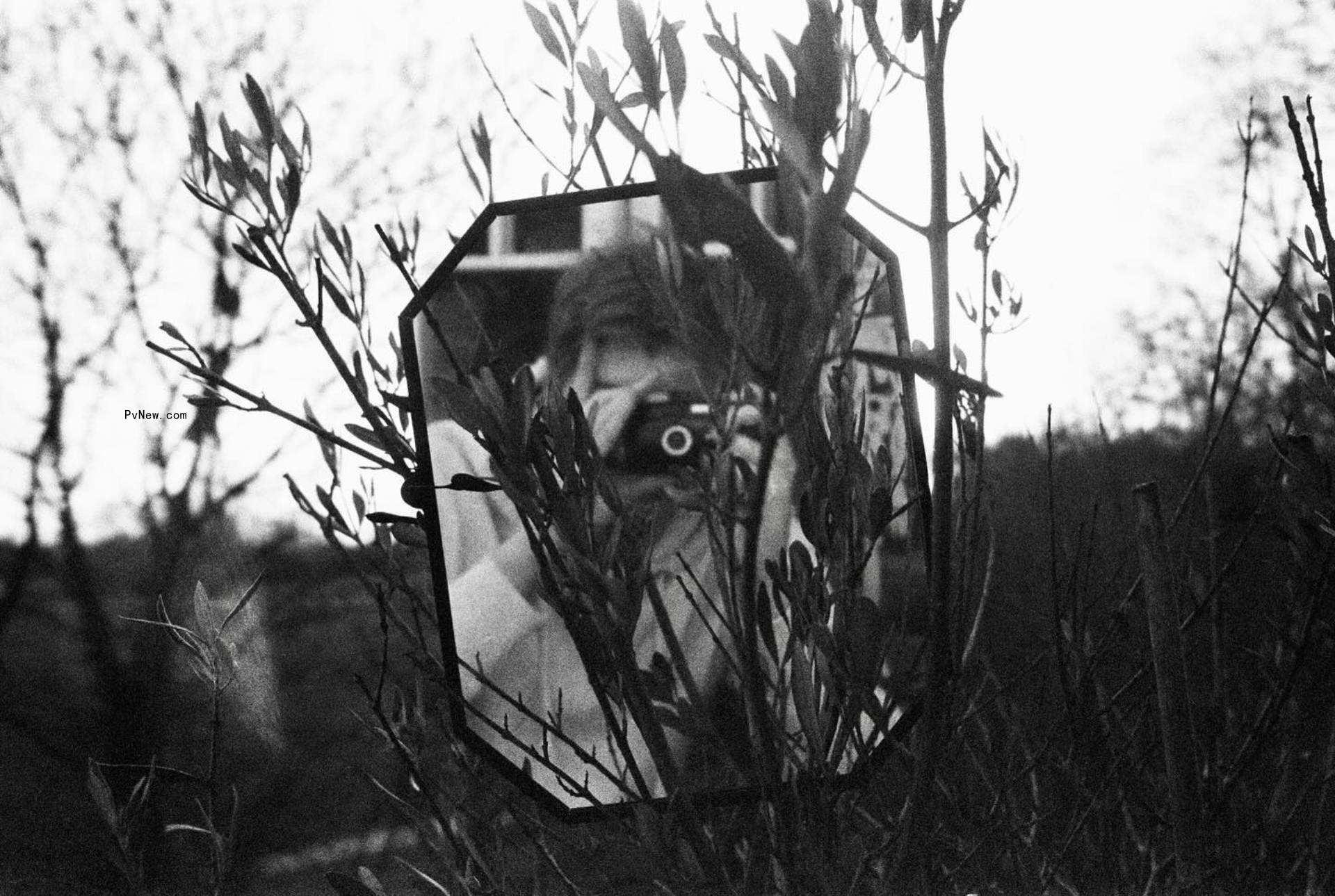 Joe Alywn taking a mirror selfie in the woods