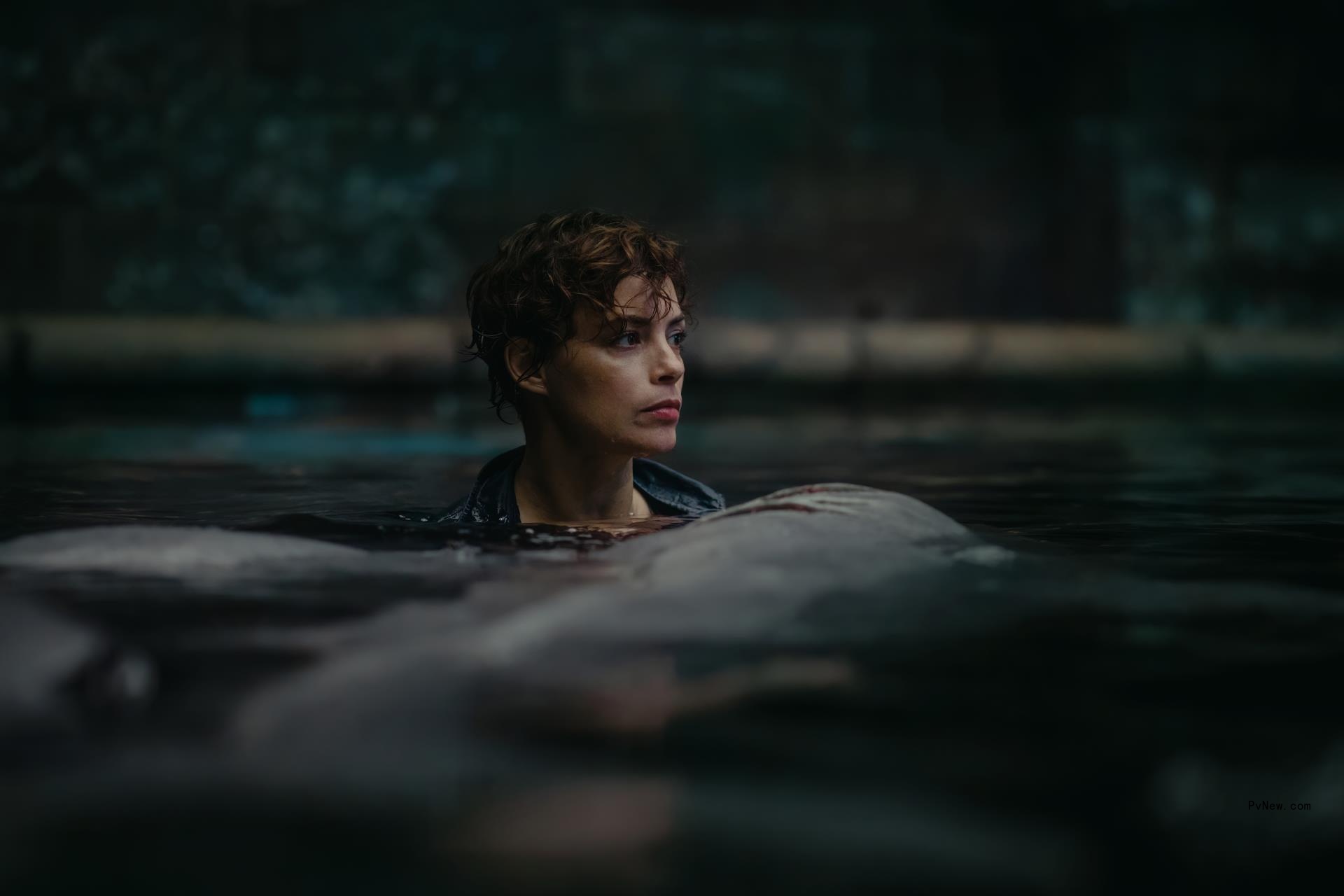 Netflix Sets Xavier Gens’ Genre Movie Set in Paris’ Seine, Starring Berenice Bejo as Next French Film Original