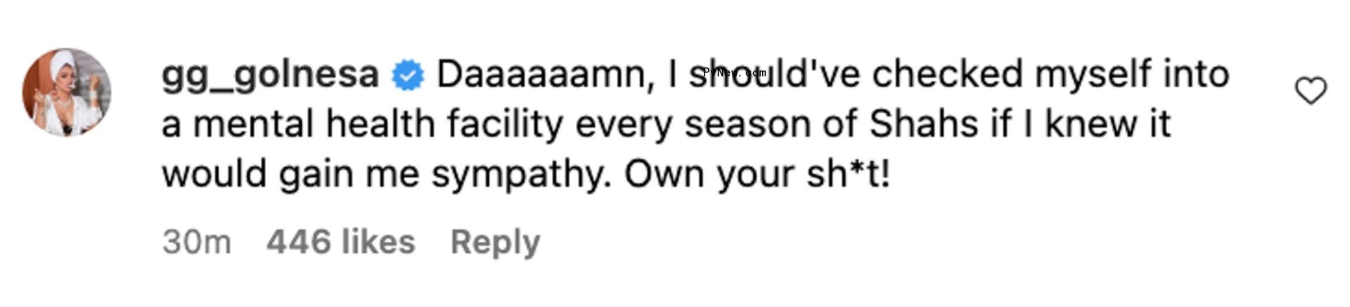 A screenshot of Golnesa Gharachedaghi's comment