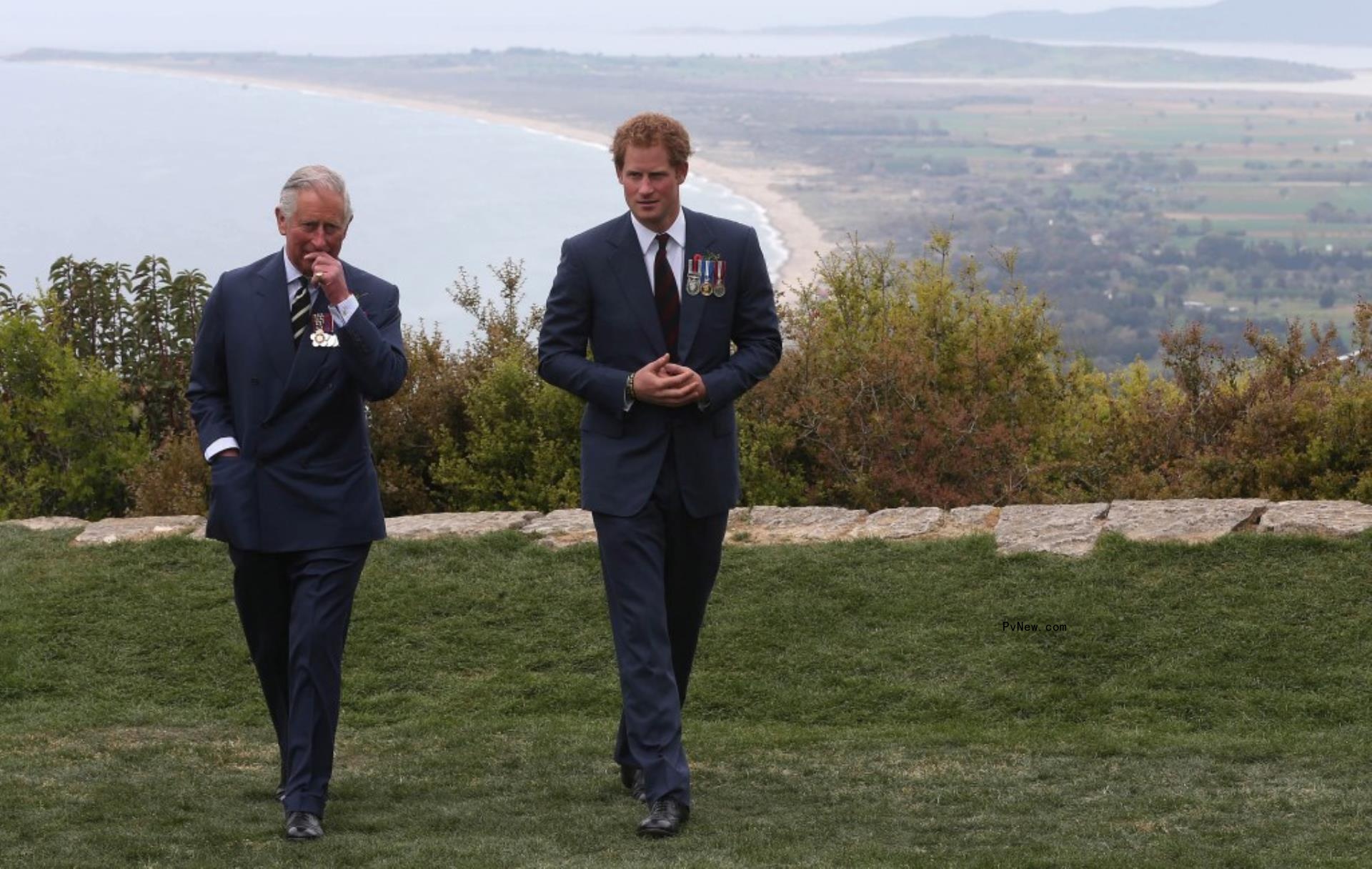 Prince Harry and King Charles III.
