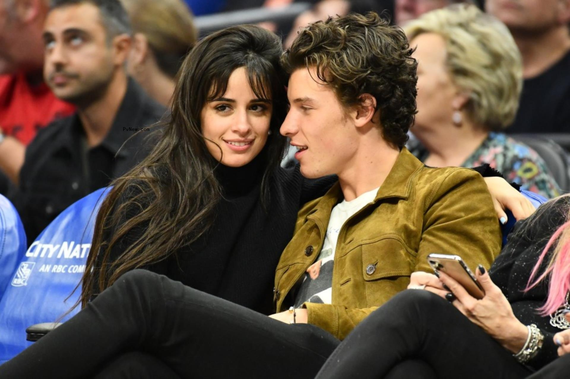 Camila Cabello and Shawn Mendes sitting together at an NBA game.