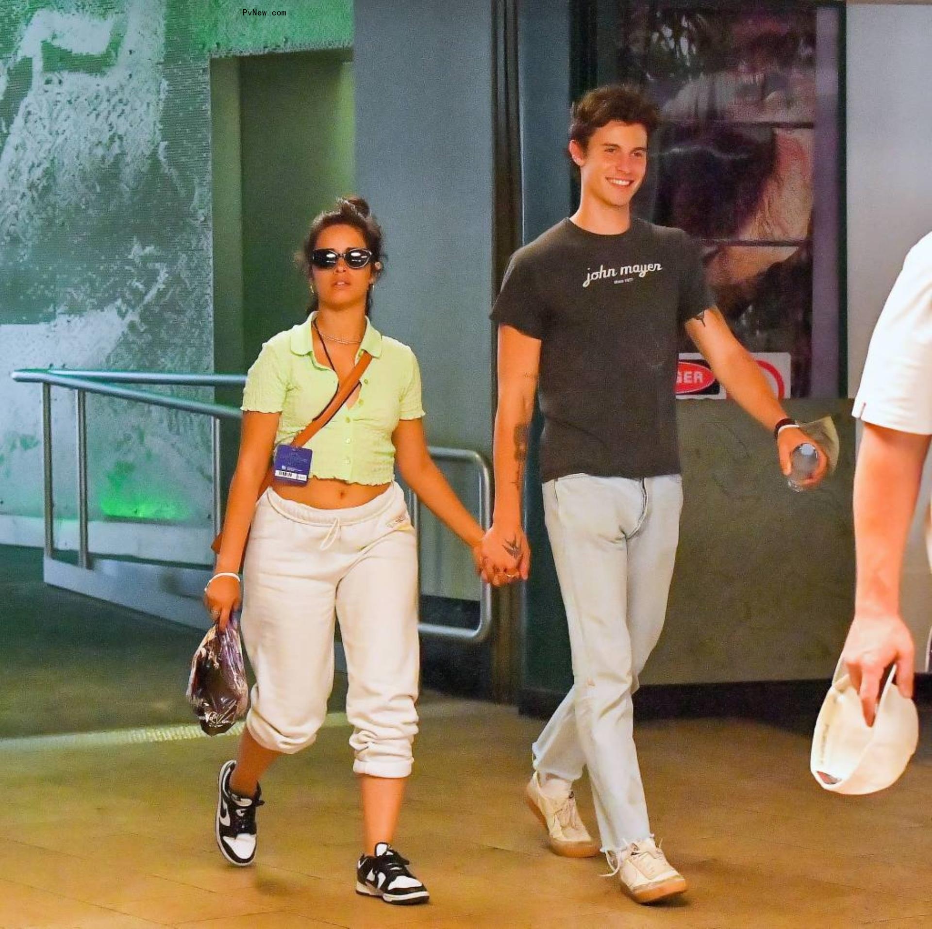 Camila Cabello and Shawn Mendes holding hands.