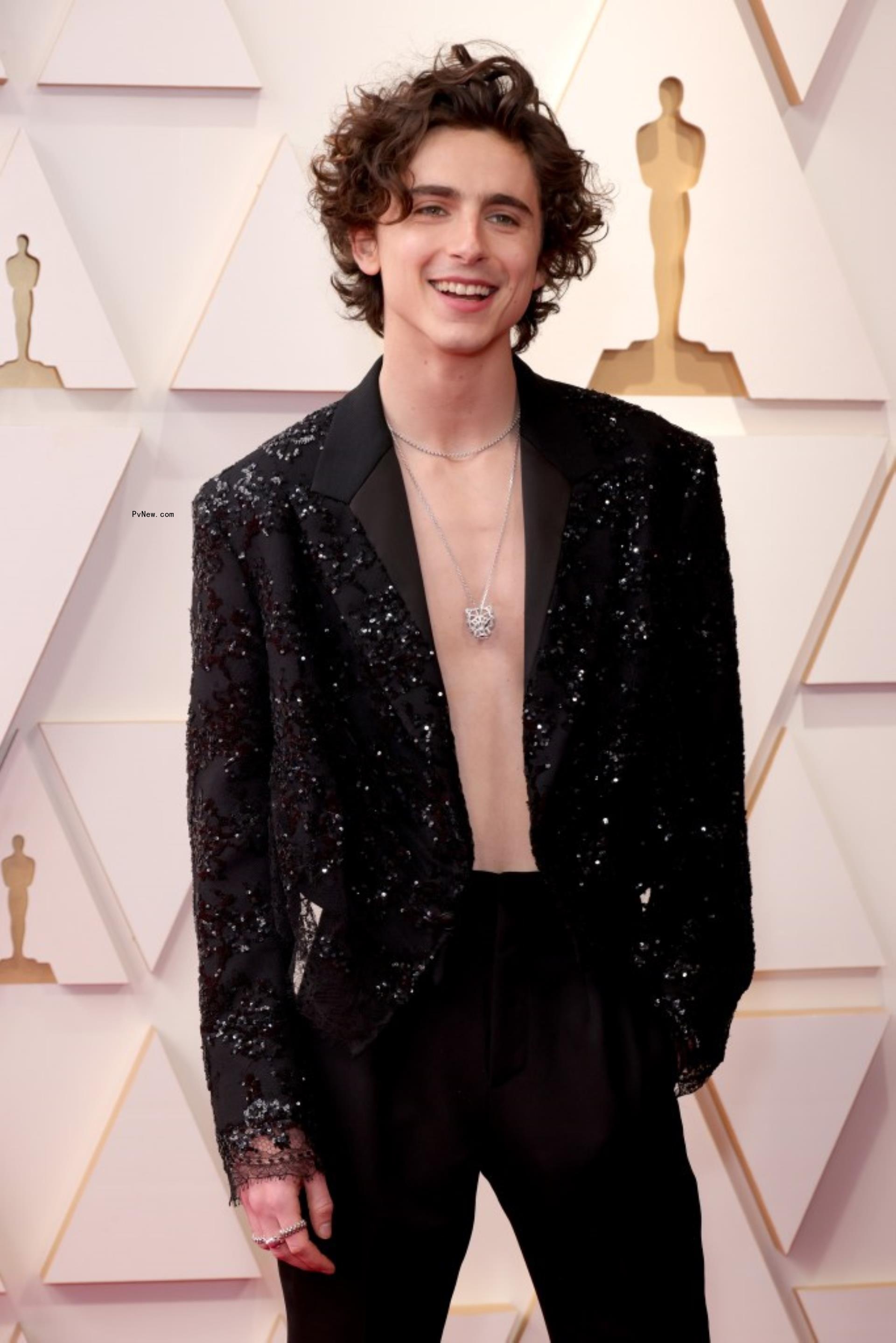 Timothée Chalamet on a red carpet.