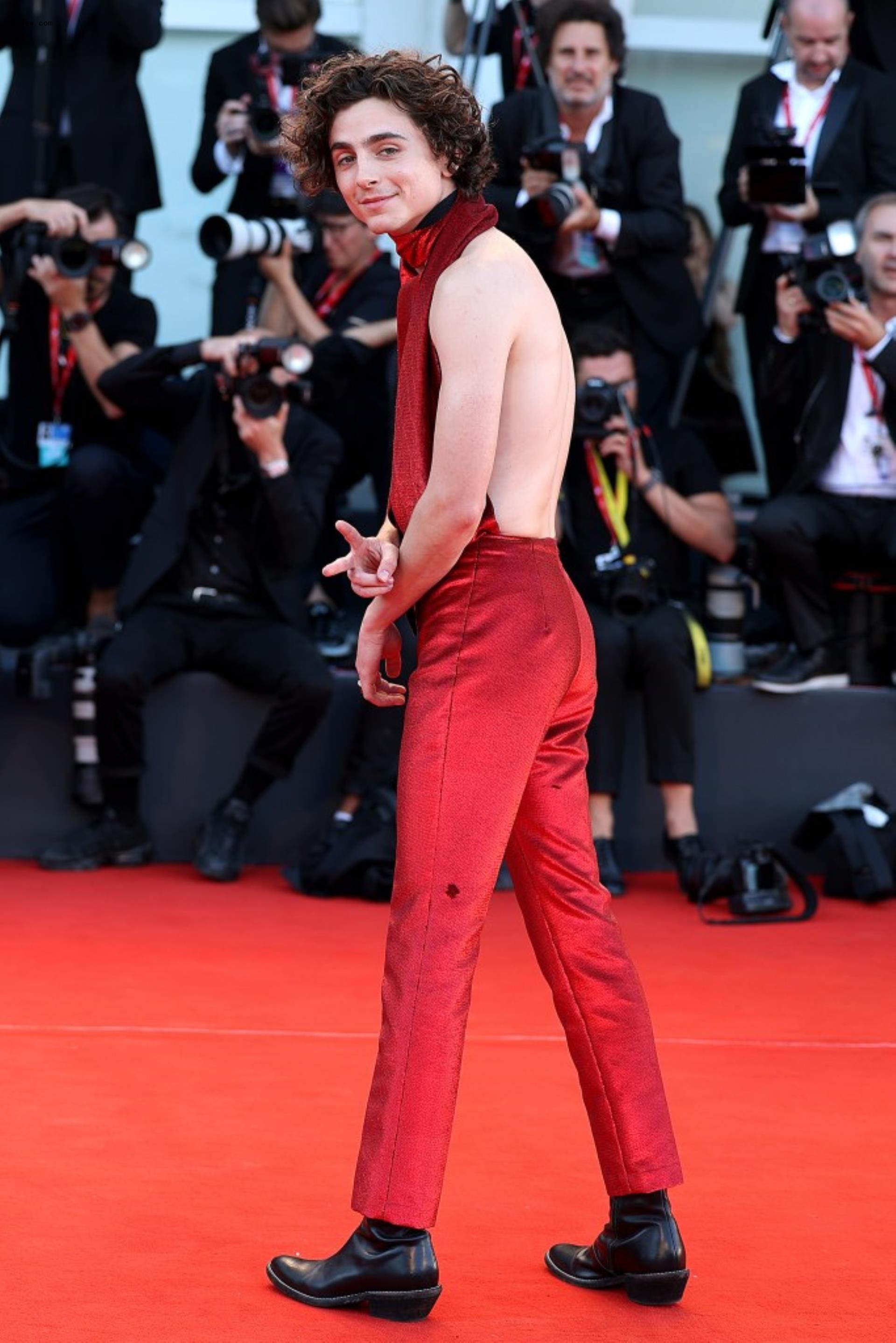 Timothée Chalamet on a red carpet.