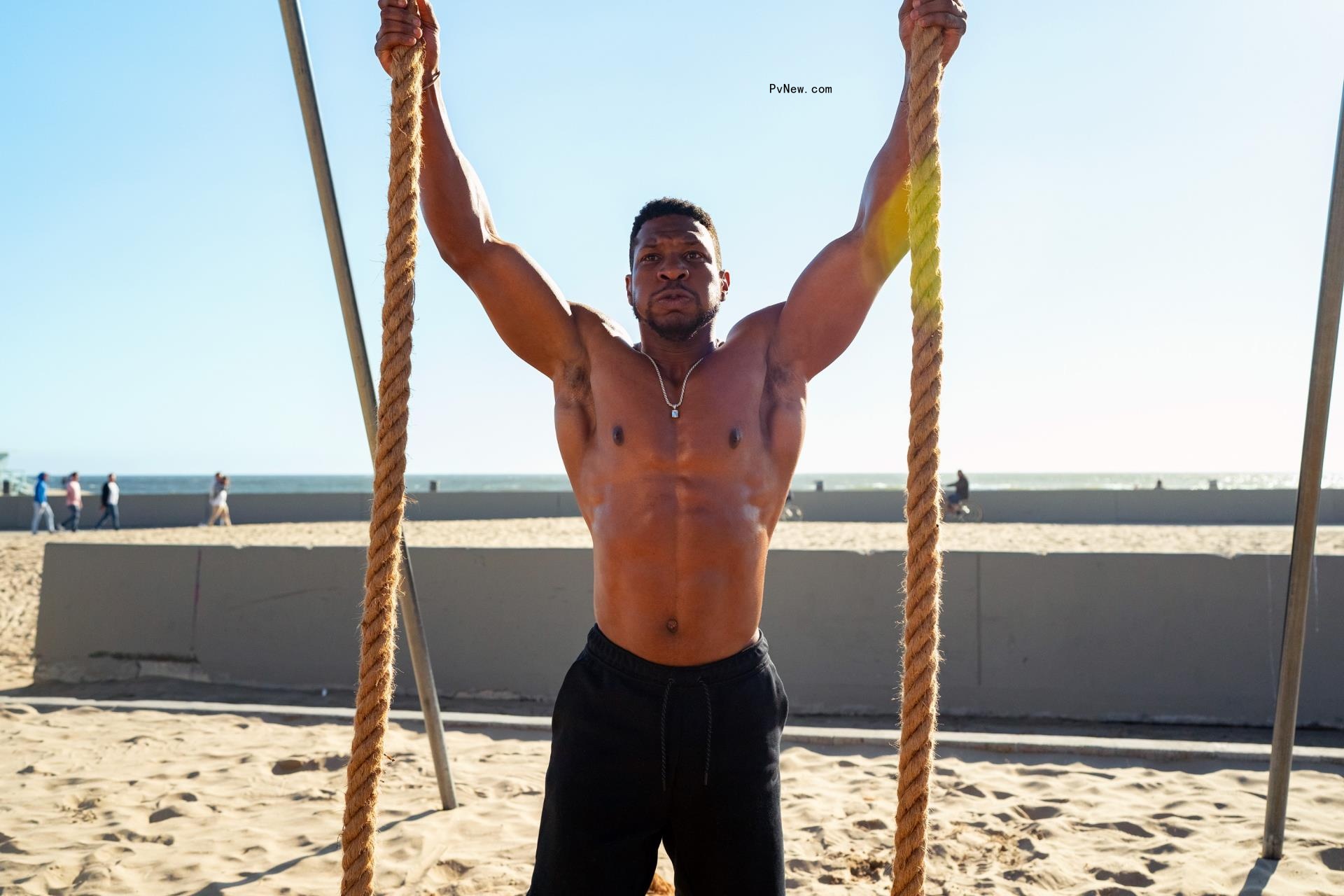 jo<i></i>nathan majors shirtless holding o<i></i>nto ropes