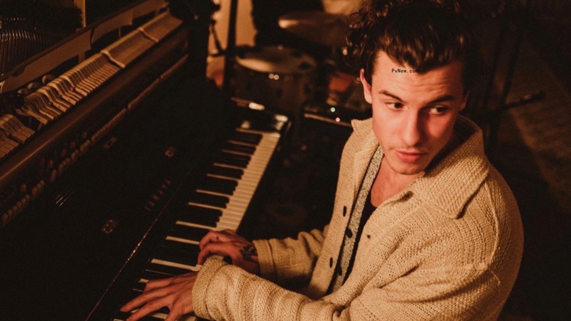 Shawn Mendes to Release Original Song for ‘Lyle, Lyle Crocodile’ Movie Alo<i></i>ngside Tracks From Elton John and Stevie Wonder