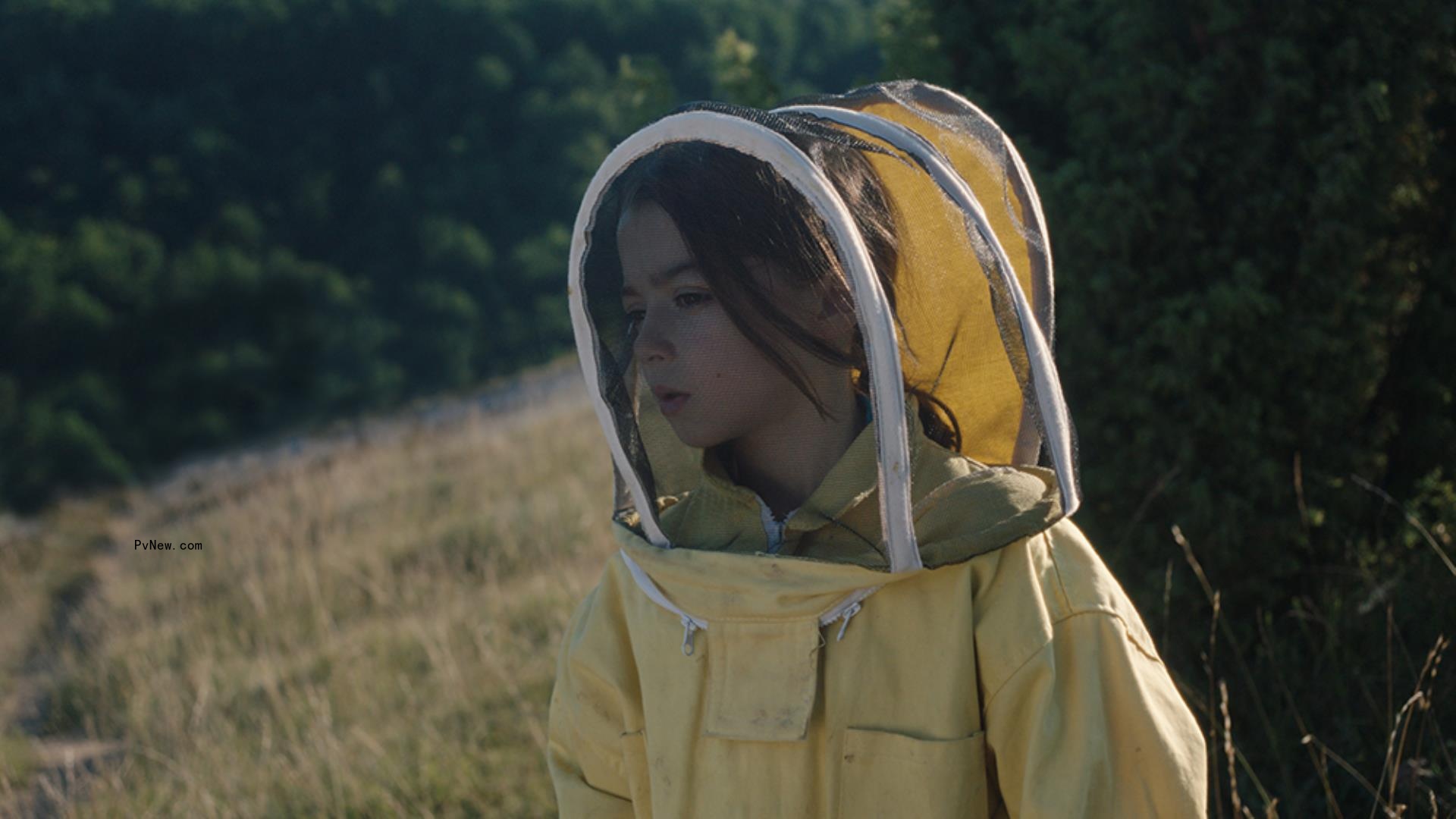 Film Movement Nabs North American Rights to ‘20,000 Species of Bees,’ a<i></i>bout a Young Girl Who Begins Gender Transition