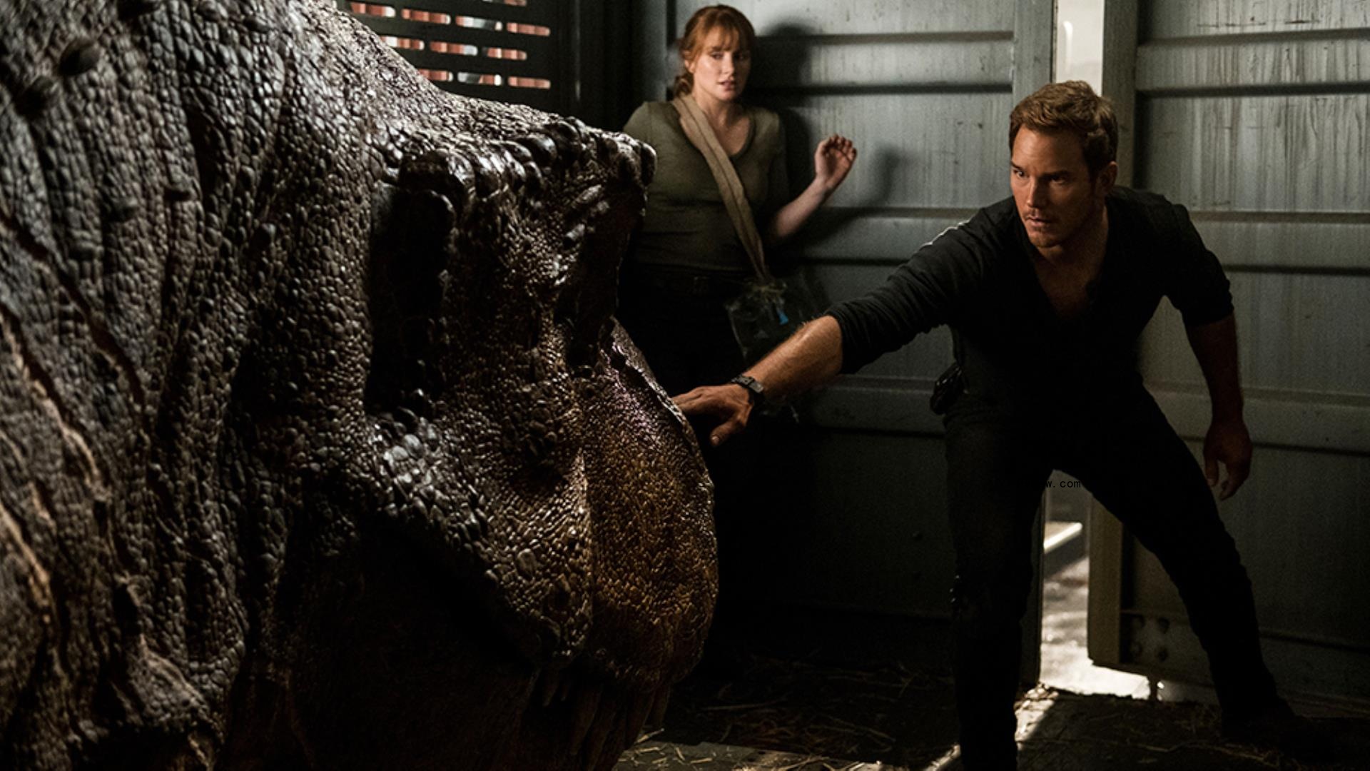 Universal Moves Film Licensing Deal From HBO to Peacock, Bolstering Streaming Service