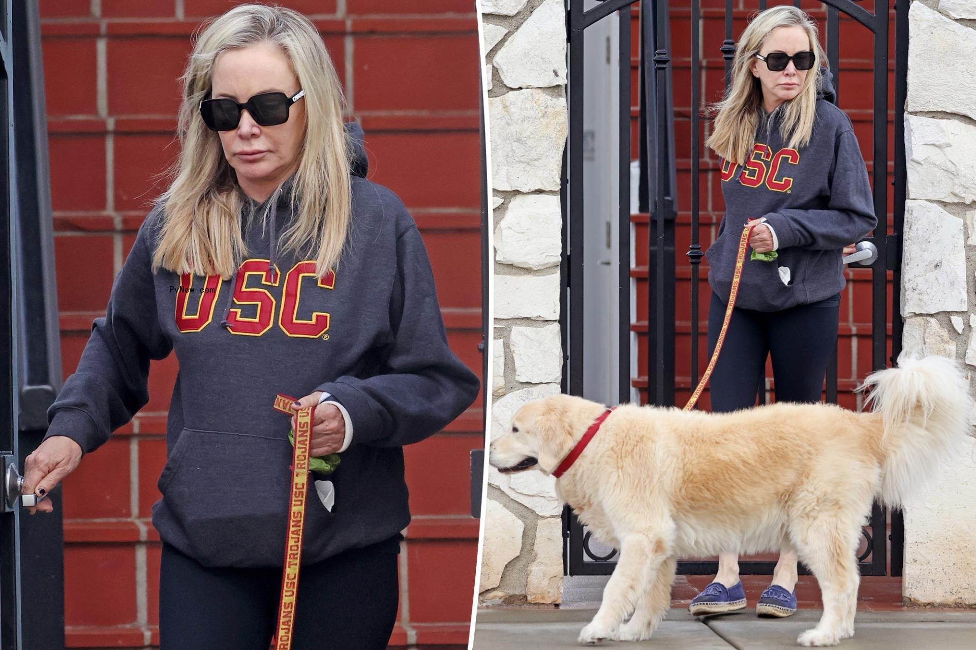 Shannon Beador walks dog Archie with cast on arm after animal co<i></i>ntrol probe, DUI arrest